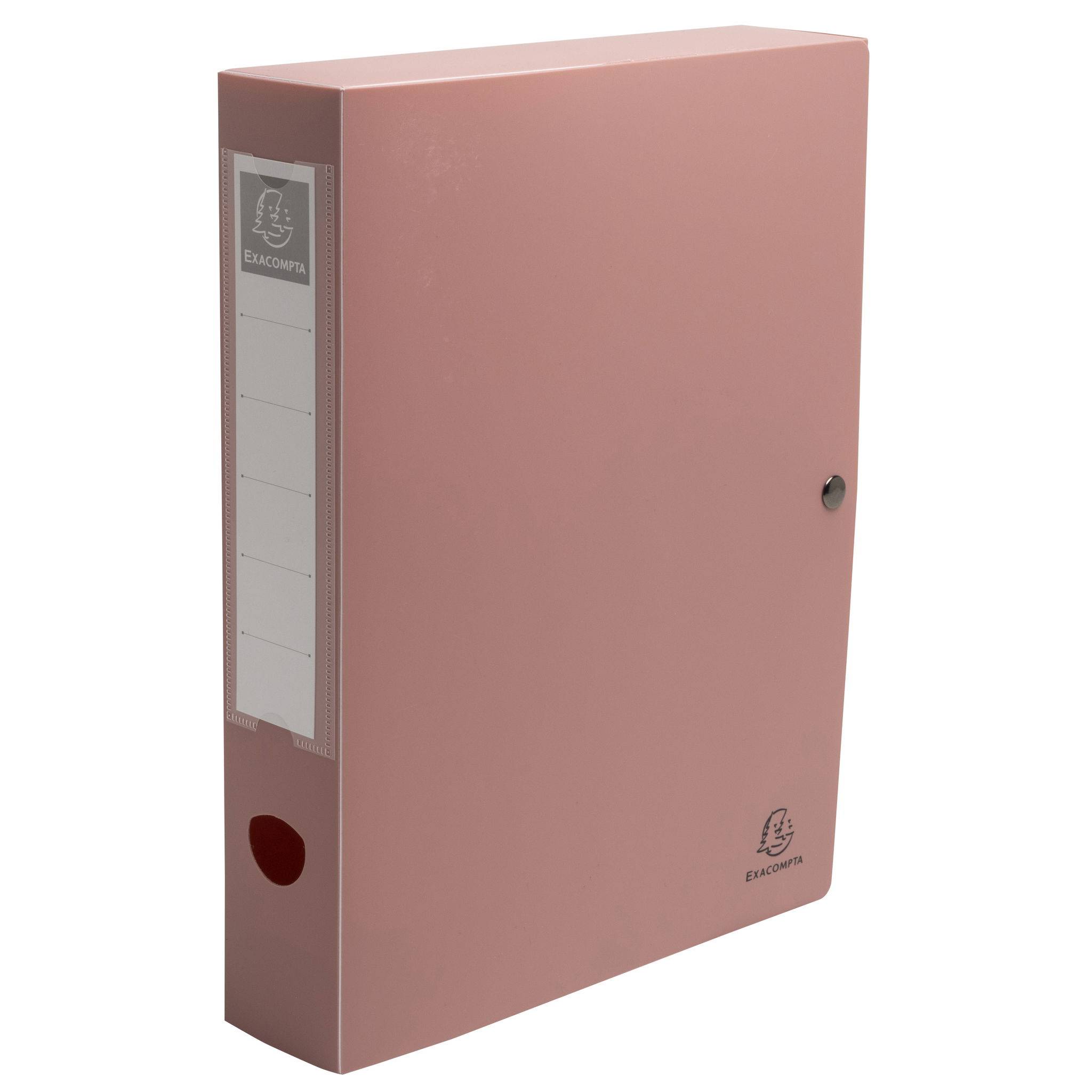 Exacompta 89270E 8x Skandi Archivbox R60mm A4 RC PP Sortiert
