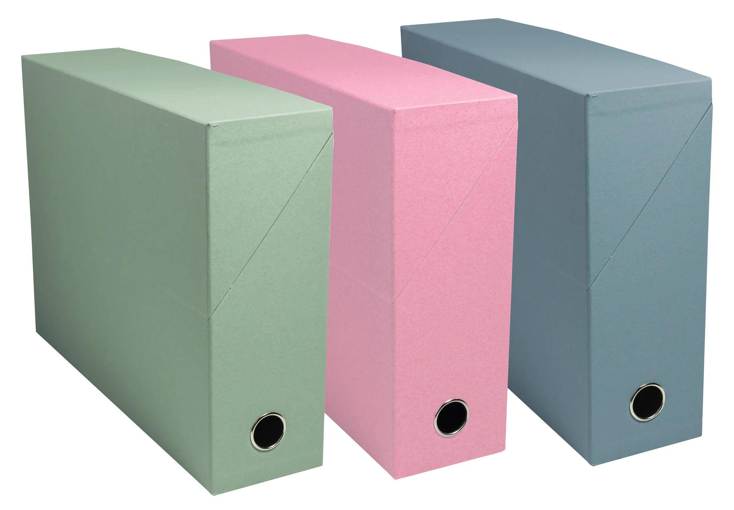 Exacompta 89239E 5x Transferbox AutentiK 25x33 R90 sortiert
