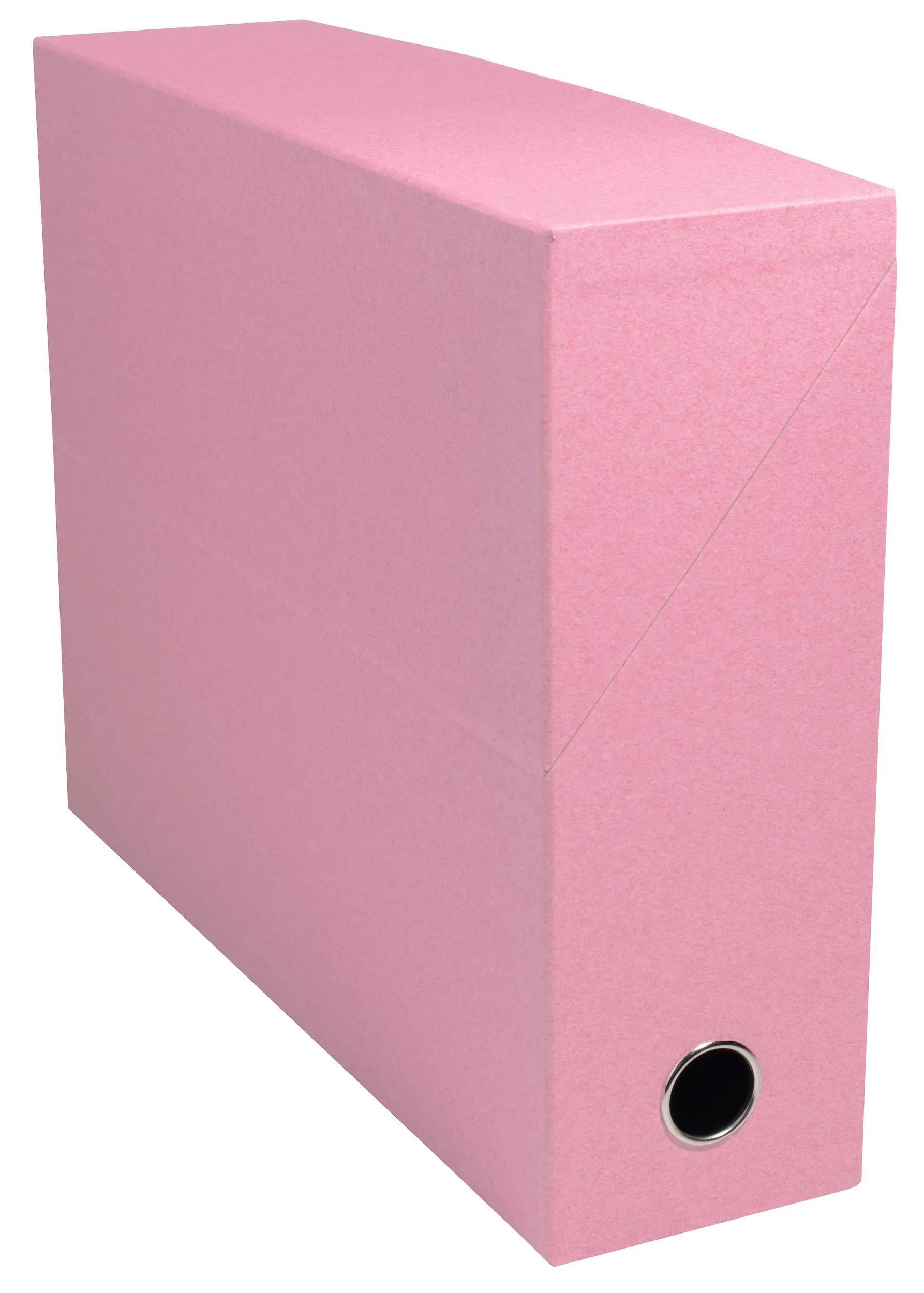 Exacompta 89239E 5x Transferbox AutentiK 25x33 R90 sortiert