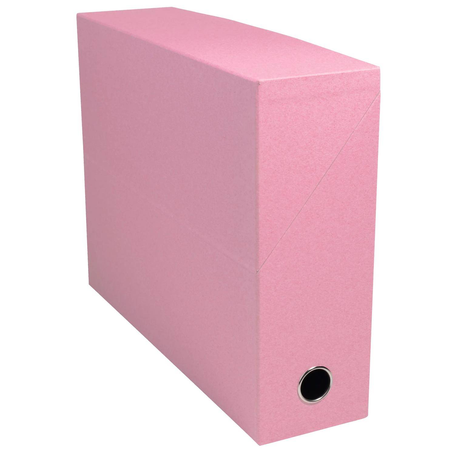 Exacompta 89239E 5x Transferbox AutentiK 25x33 R90 sortiert