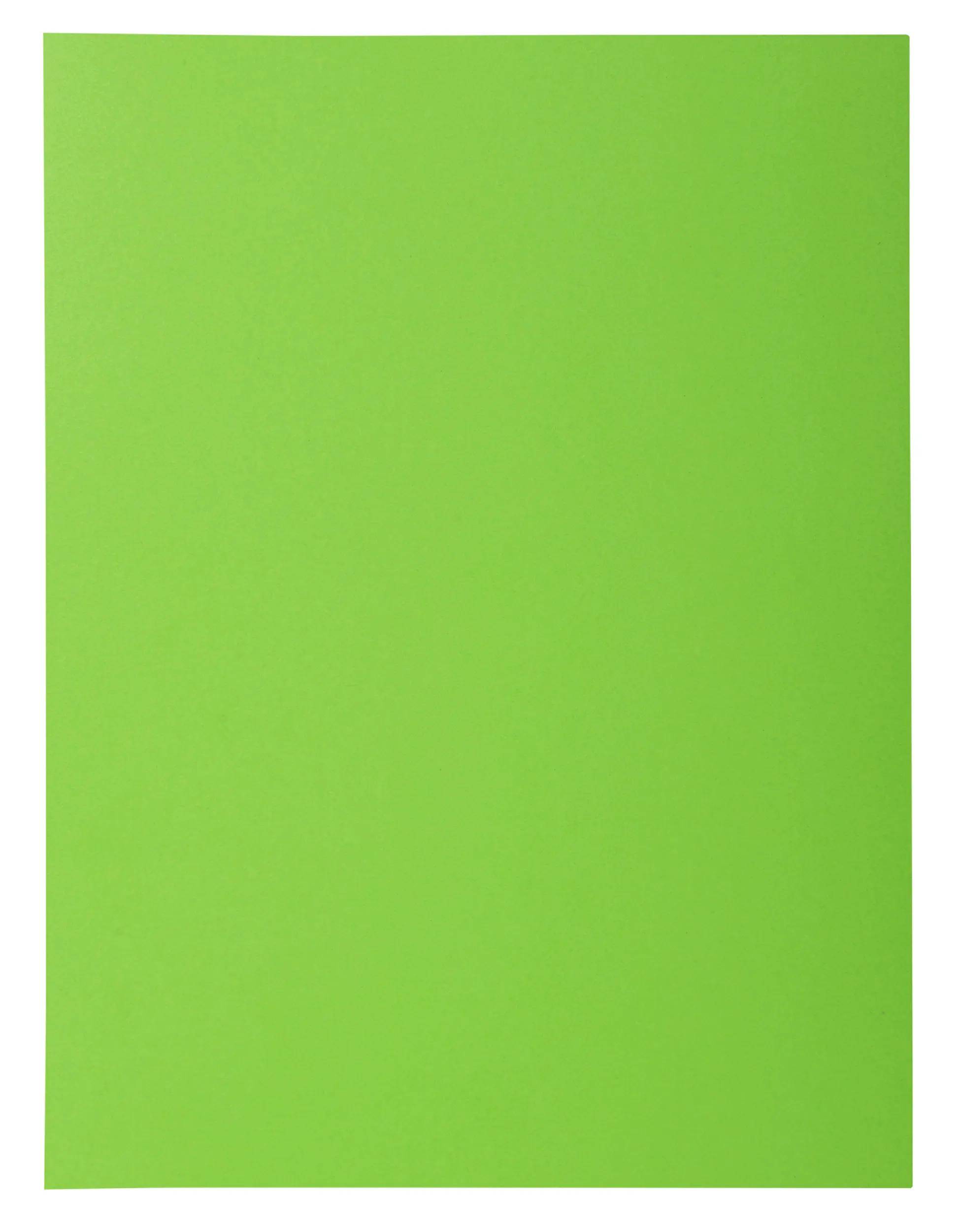 Exacompta 218013E 5x Aktendeckel A4 ROCK''S 50St 1 Klappe Grün