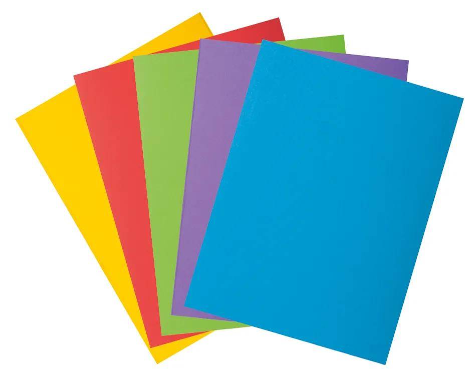 Exacompta 218000E 5x PK 50 ROCK''S 210 1 Klappe Sortiert