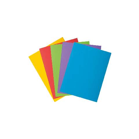 Exacompta 218000E 5x PK 50 ROCK''S 210 1 Klappe Sortiert