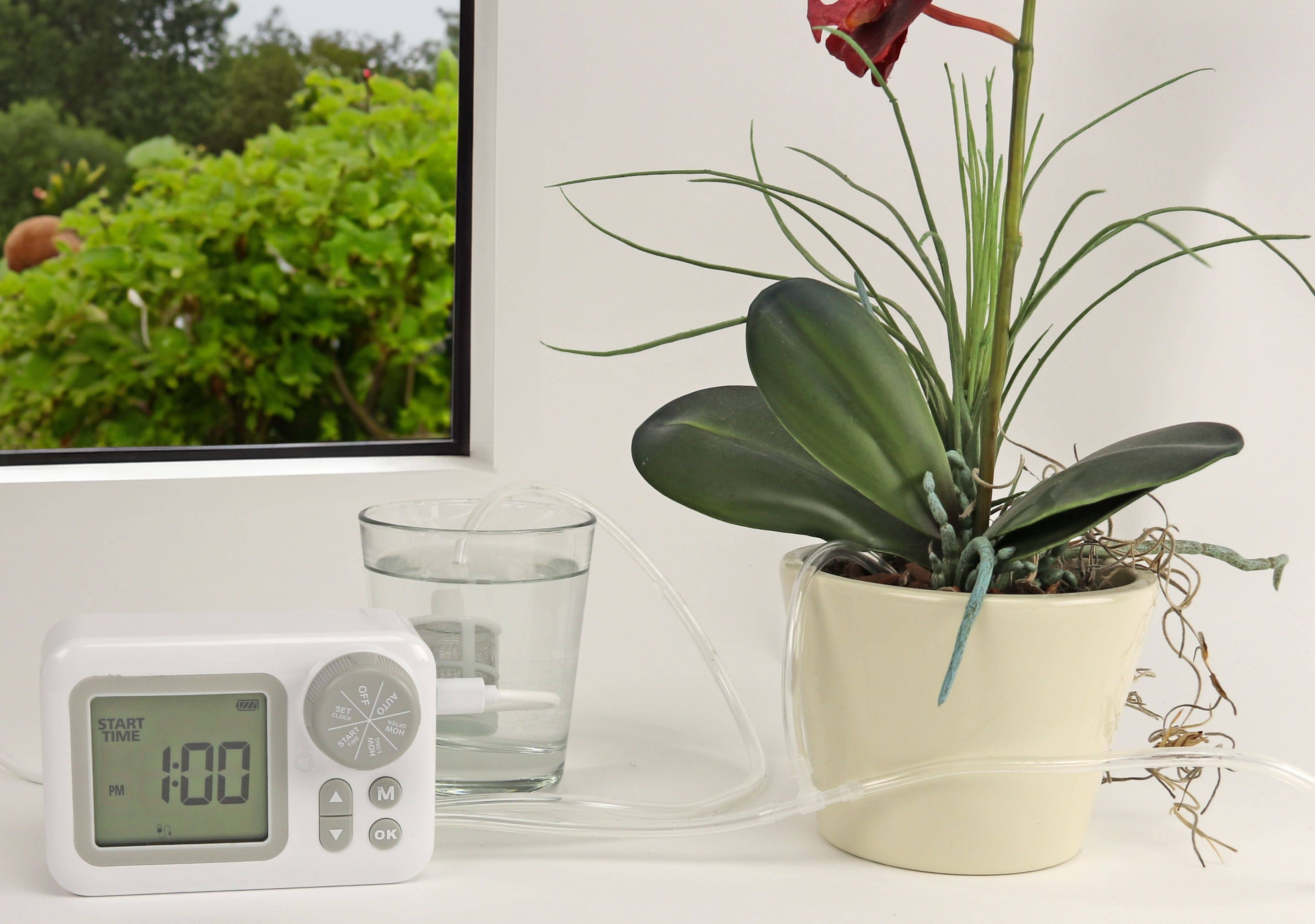 DAYGREEN Bewässerungssystem Topfpflanzen DH-WF015