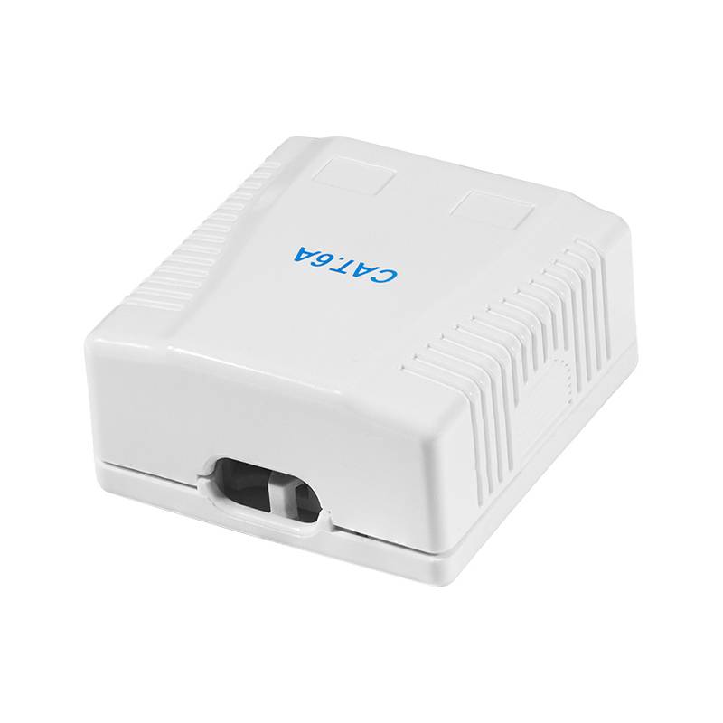 LogiLink Anschlussdose Kat.6A mit Aufputzbox, 2x RJ45, weiß