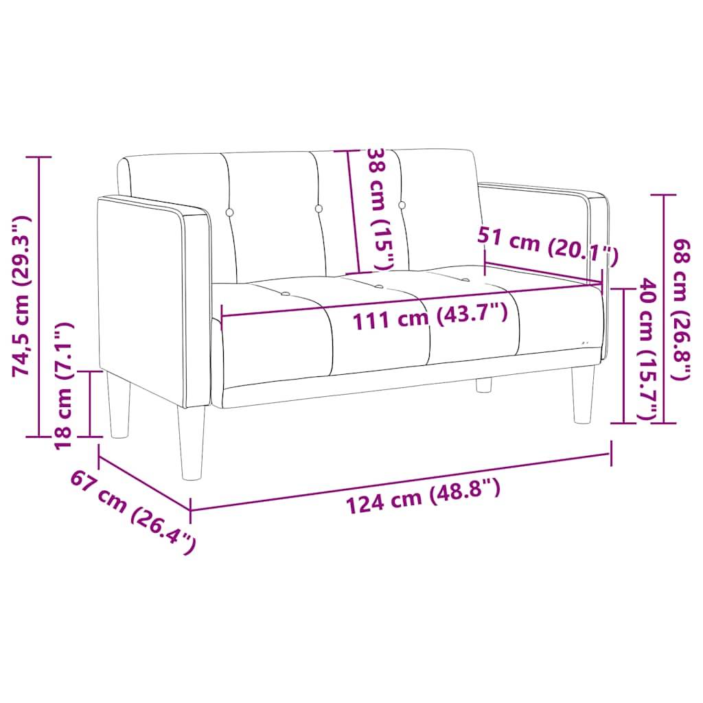 vidaXL Zweisitzer-Sofa Schwarz 111 cm Samt