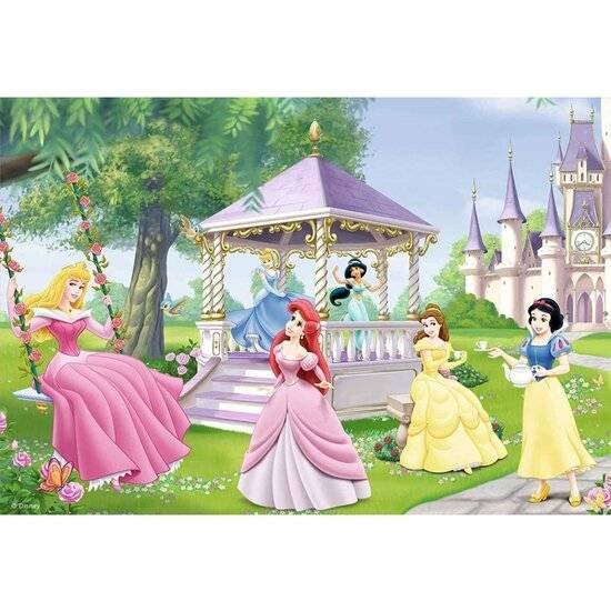 Disney Prinzessinnen, 2x24Stk.