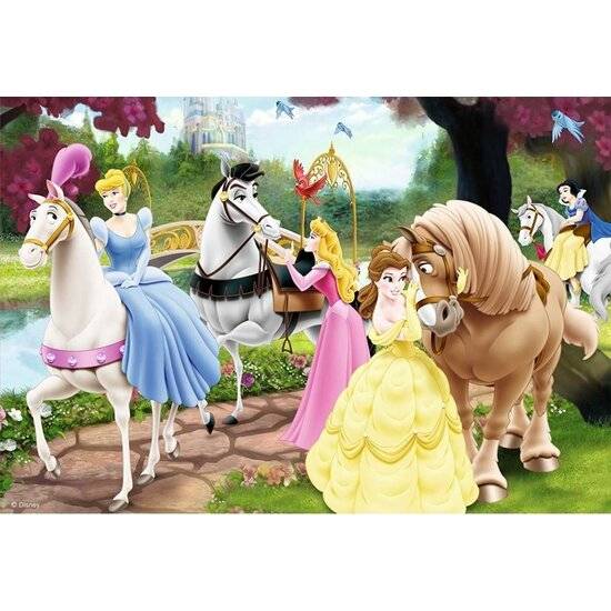 Disney Prinzessinnen, 2x24Stk.