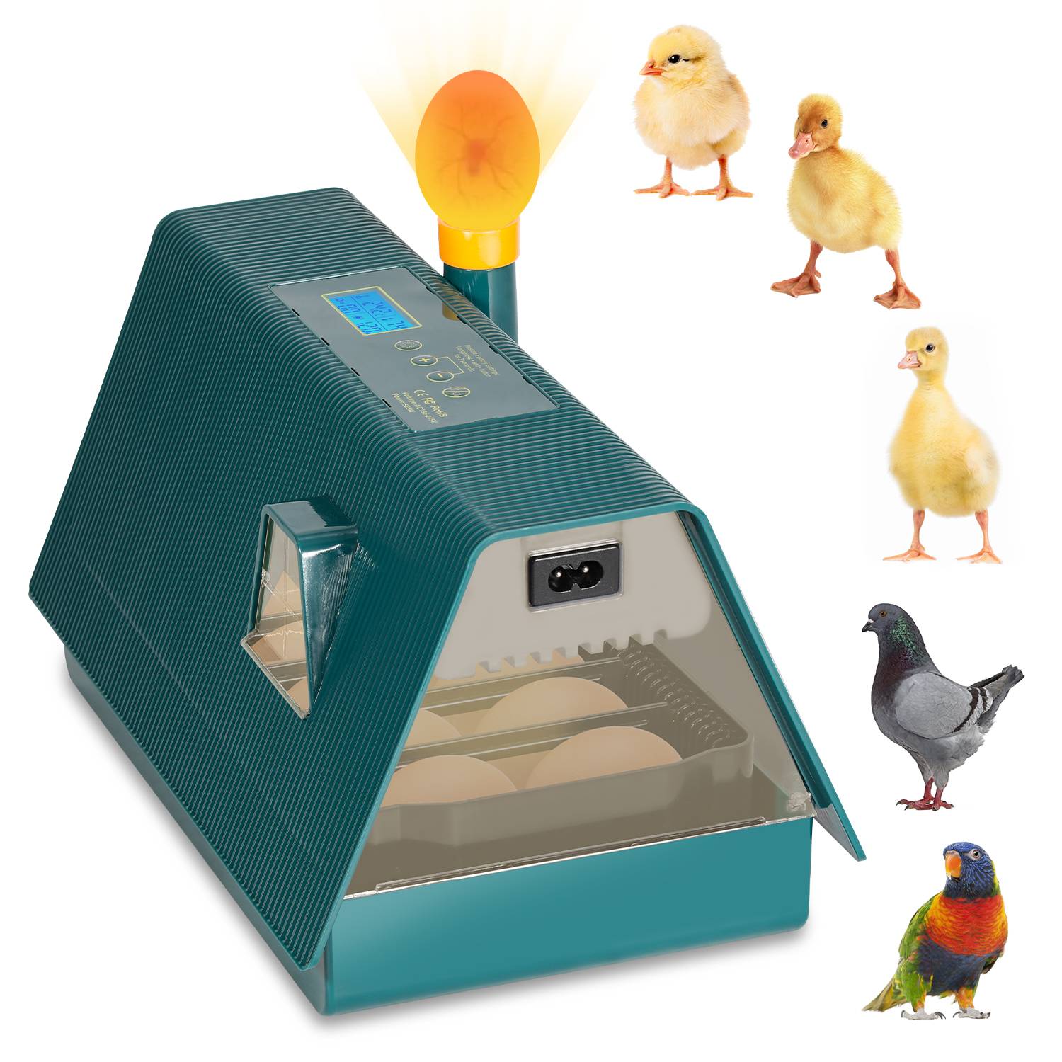Brutmaschine Inkubator Vollautomatisches Intelligentes Multifunktionales Brutgerät für Henne, Enten & andere Vögel,10 Eier Brutautomat
