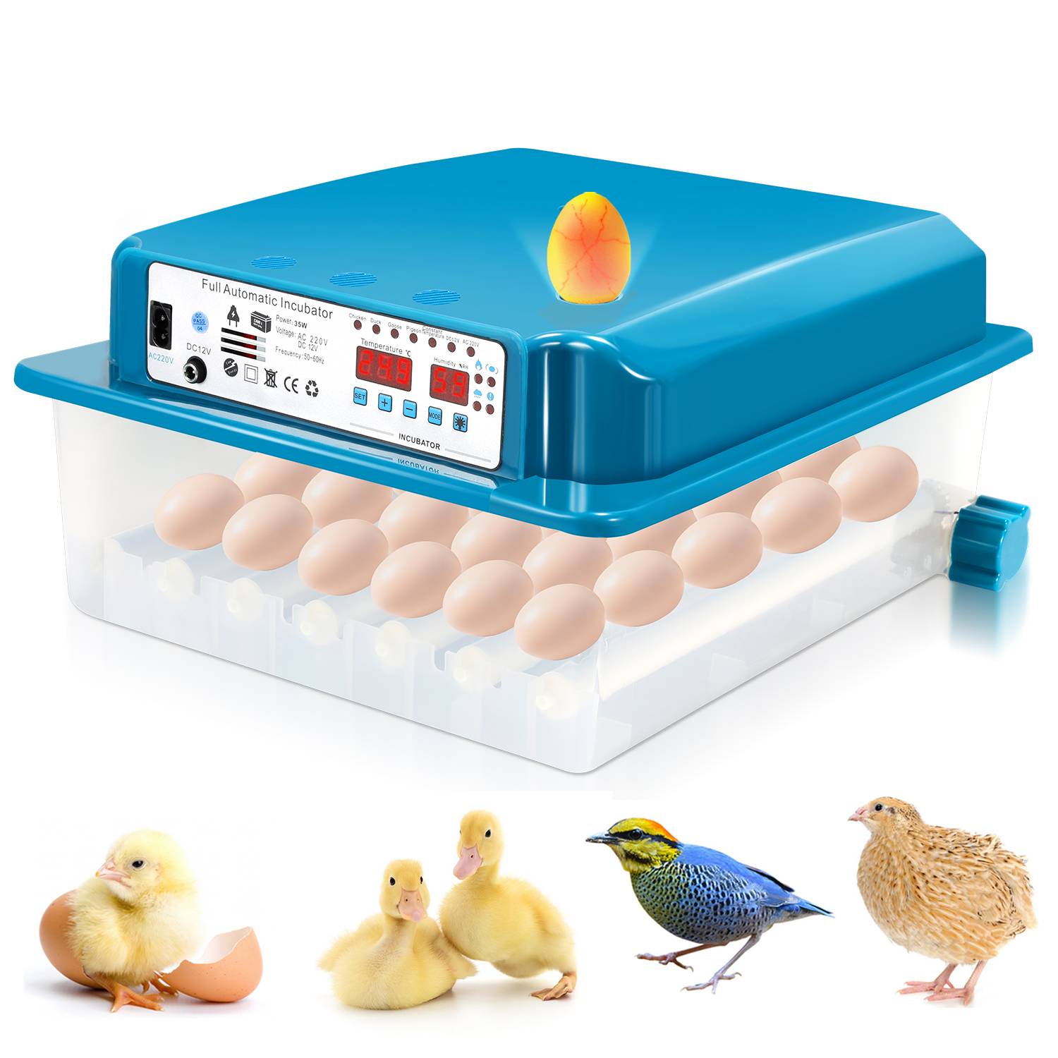 Brutmaschine für 36 Eier Automatische Inkubator mit vollautomatischem Wendesystem, Brutautomat mit Temperatursteuerung und