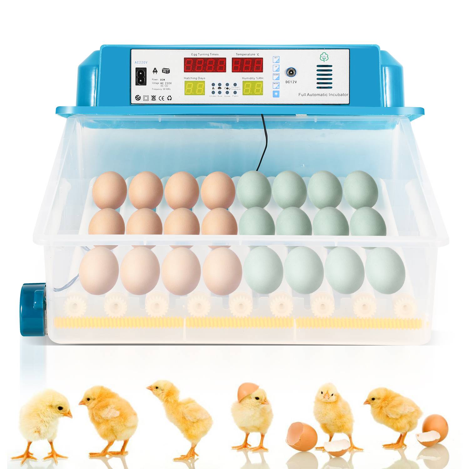 Brutmaschine Vollautomatisch, Inkubator 64 Eier-Brutapparat mit Display, Temperaturregelung Ei Inkubation Hatcher für Hühnergans, Ente, Taube, Wacht