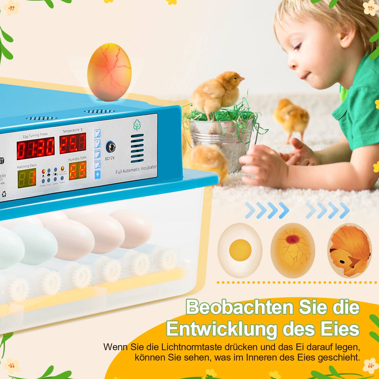 Brutmaschine Vollautomatisch, Inkubator 64 Eier-Brutapparat mit Display, Temperaturregelung Ei Inkubation Hatcher für Hühnergans, Ente, Taube, Wacht