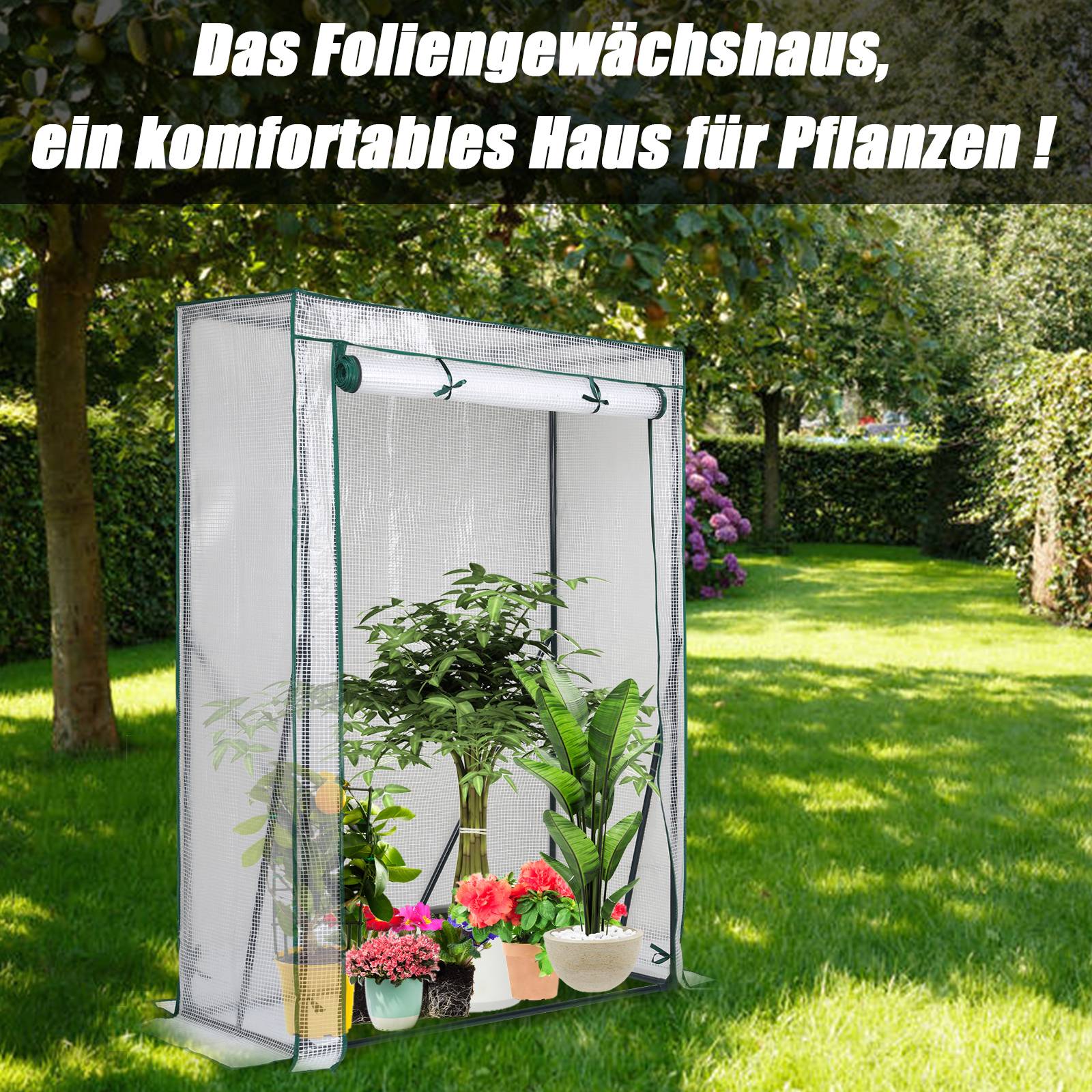 Foliengewächshaus Tomatengewächshaus 100x50x150 cm Gewächshaus, weiß