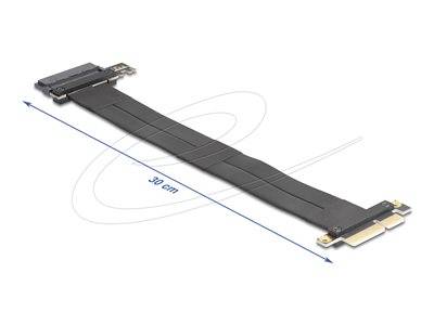 DELOCK Riser Karte PCI Express 3.0x4Stecker zu U.2 SFF-8639 Multimedia-Technik PCI Karten