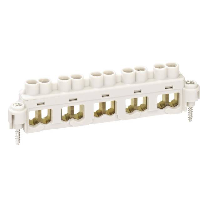 SPELS Klemmstein 10Q Abox 100 KLS-10#81# 5pol. f. 100 Install.Baumaterial Verlegesys/Verbi.Mat