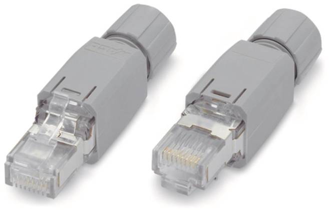 Zwei graue Ethernet-Kabelstecker mit transparenten Kunststoffspitzen, nebeneinander auf weißem Hintergrund positioniert.