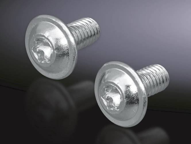 Rittal Schrauben 1=300 SZ 2504500 M6x12 Innensechsrund Industriematerial Schaltschränke