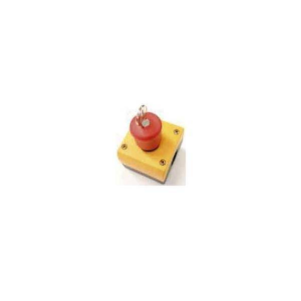 EATON M22-PVS/KC11/IY NOT- 216523 HALT/AUS-Taste d38mm schlüssel. Industriematerial