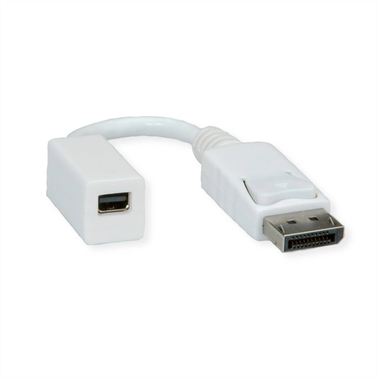 ROLINE DisplayPort Adapter, DP Stecker - Mini DP Buchse Terminatoren, Konverter DisplayPort-Mini