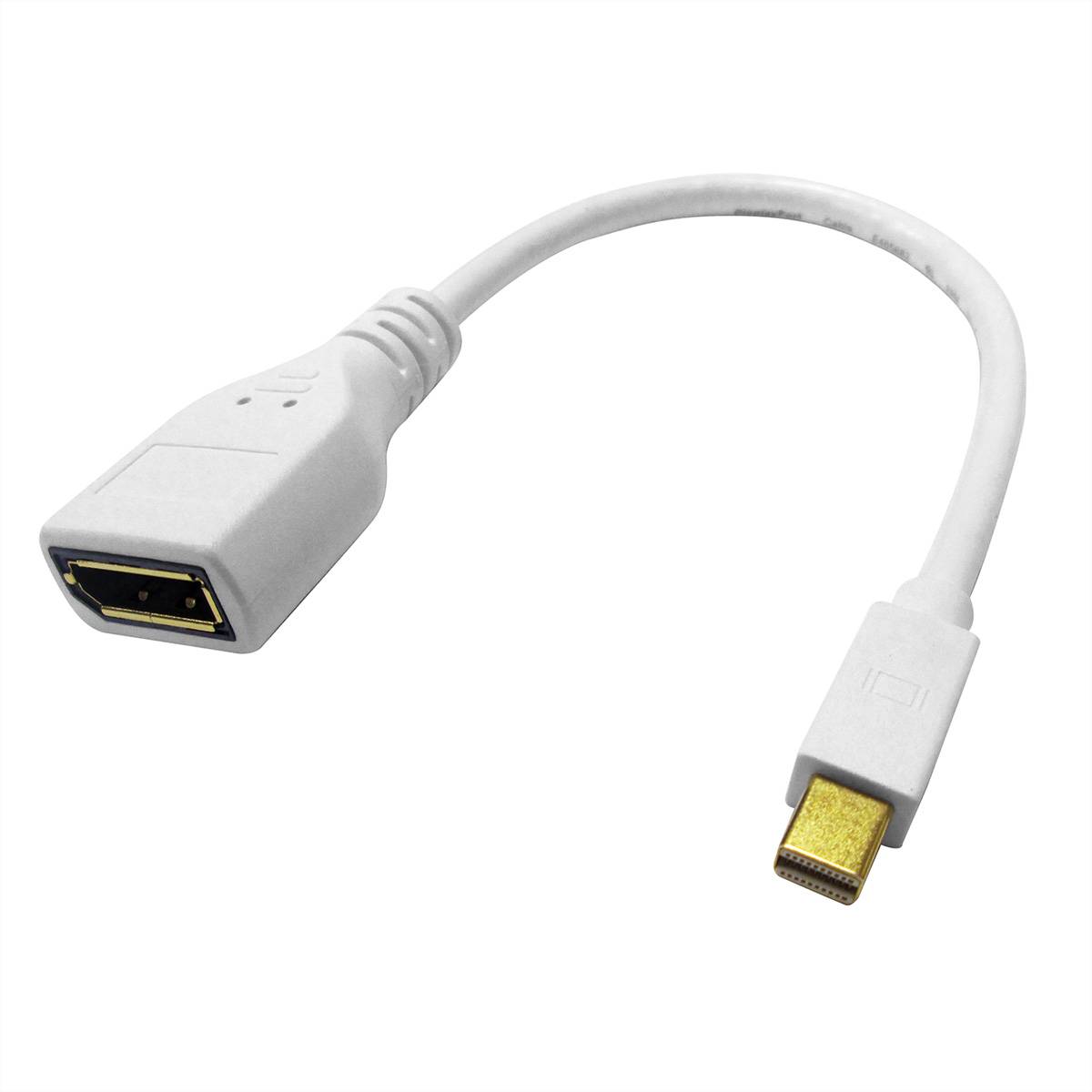 ROLINE DisplayPort Kabeladapter, DP BU - Mini DP ST, 0,15 m Adapter, Terminatoren, Konverter Adapter