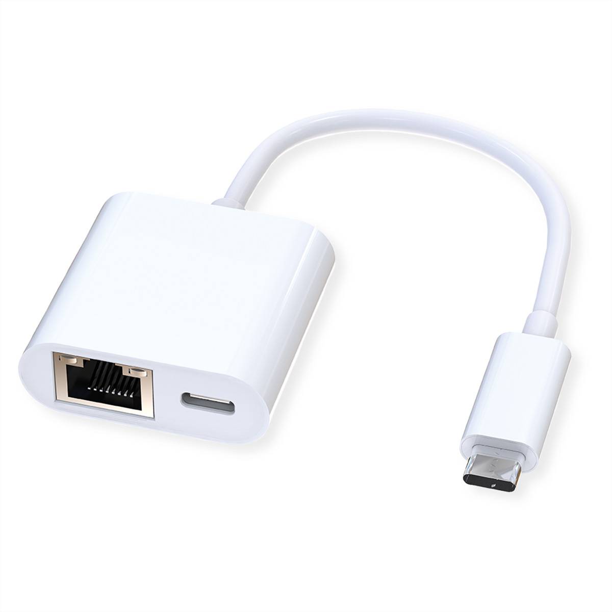 ROLINE USB 3.2 Gen 2 Typ C zu Gigabit Ethernet Konverter + 1x PD Port, 100W Netzwerk-Adapter