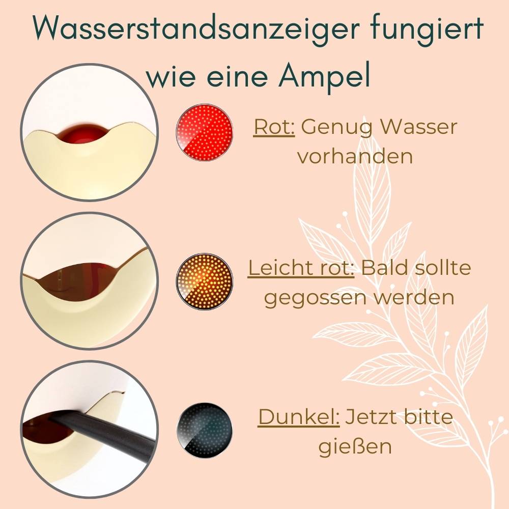 Blumentopf hängend Blumenampel Hängetopf Hängeampel Hängender Blumentopf Hängeblumentopf Outdoor inkl. Kette Wasserspeicher 25 cm anthrazit