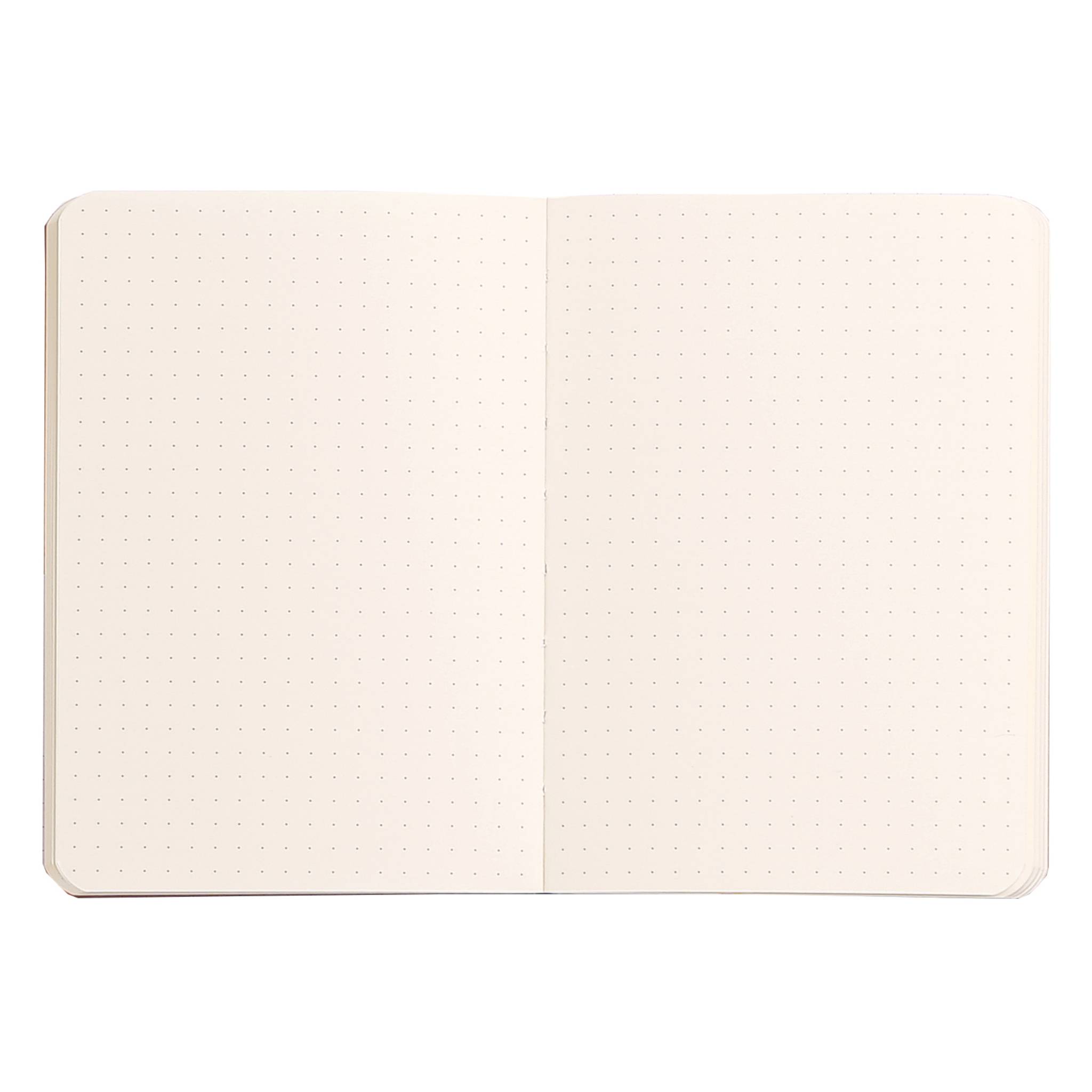 Rhodia flexibles Notizbuch A6 72 Bl dot/punktkariert, Papier 90g, Türkis 117357C