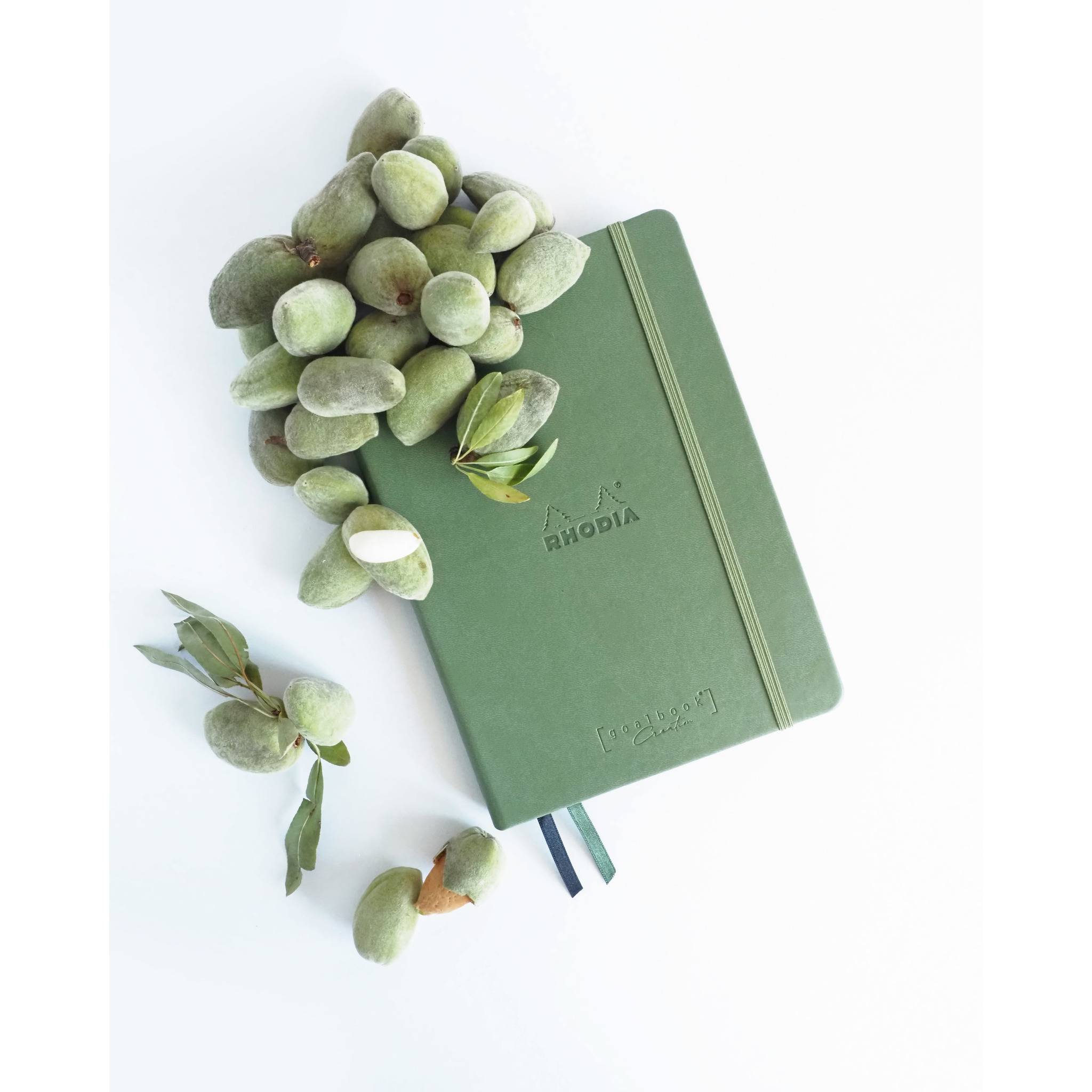 Rhodia Goalbook A5 Umschlag, 80 Bl glattes, kariert/dot 120g, Salbeigrün 194445C