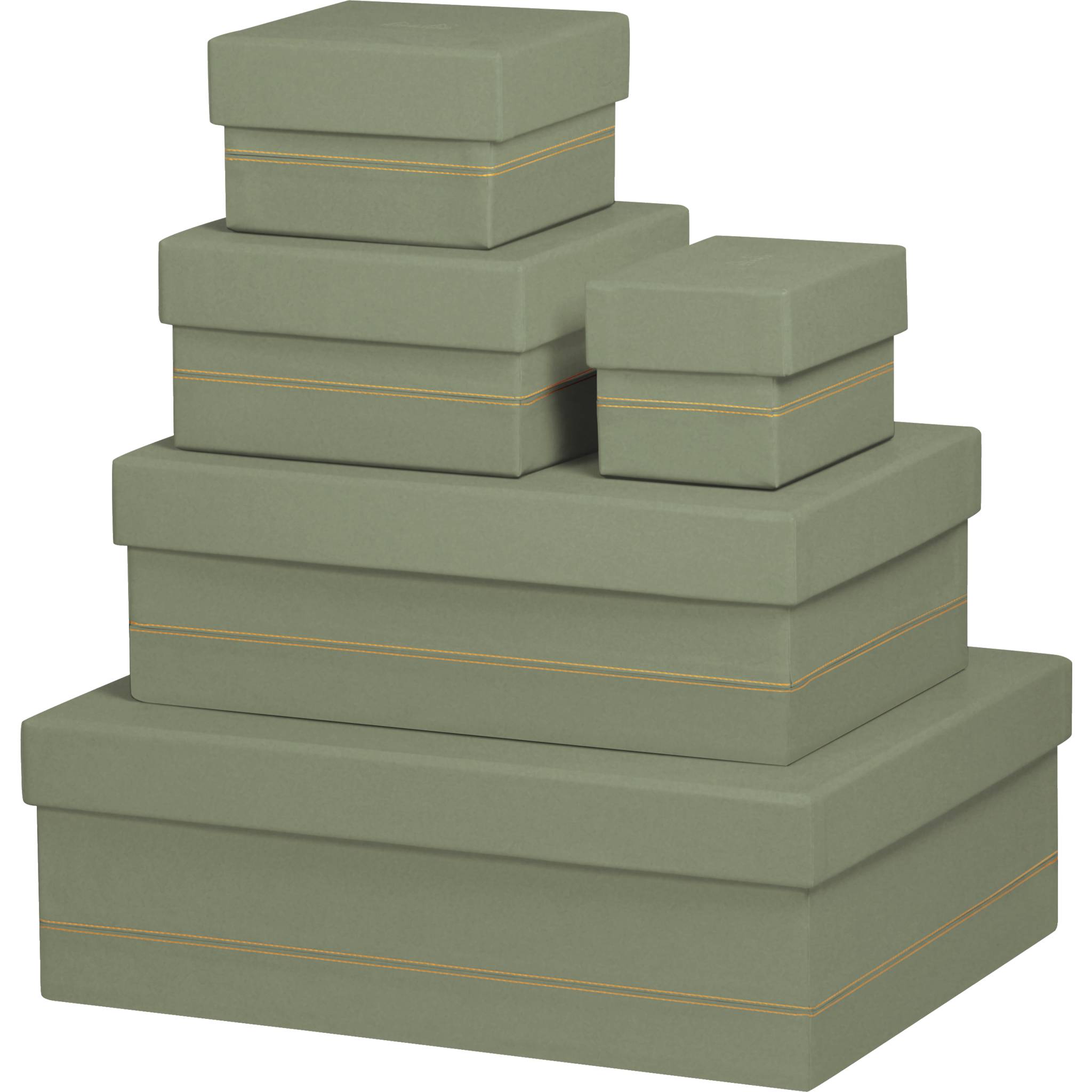 Rhodia Set mit 5 Boxen aus Kunstleder 44x34x16cm - Salbeigrün 194564C