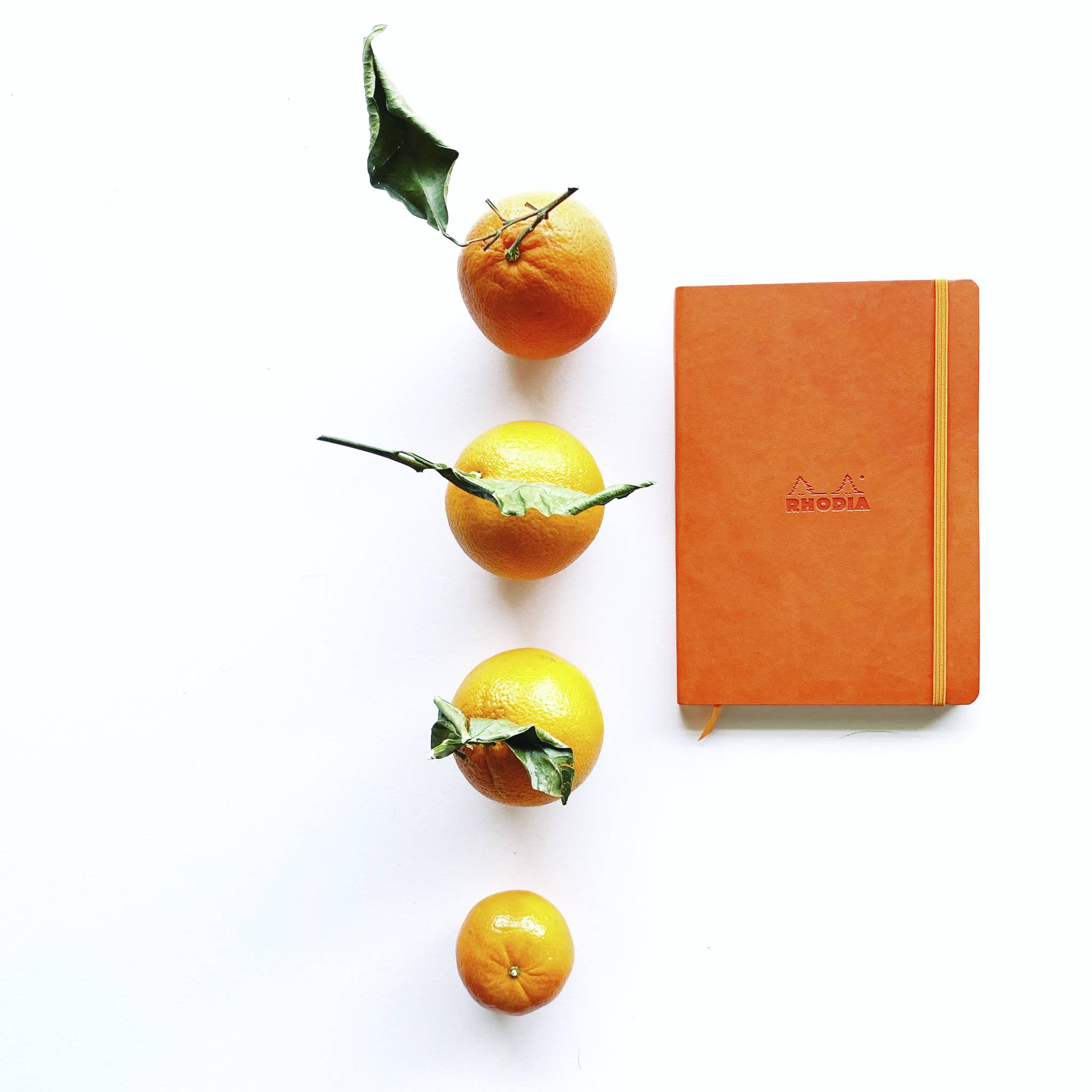 Rhodia Notizbuch A5 Softcover, 80 Bl elfenbein 90g, liniert, Orange 117415C