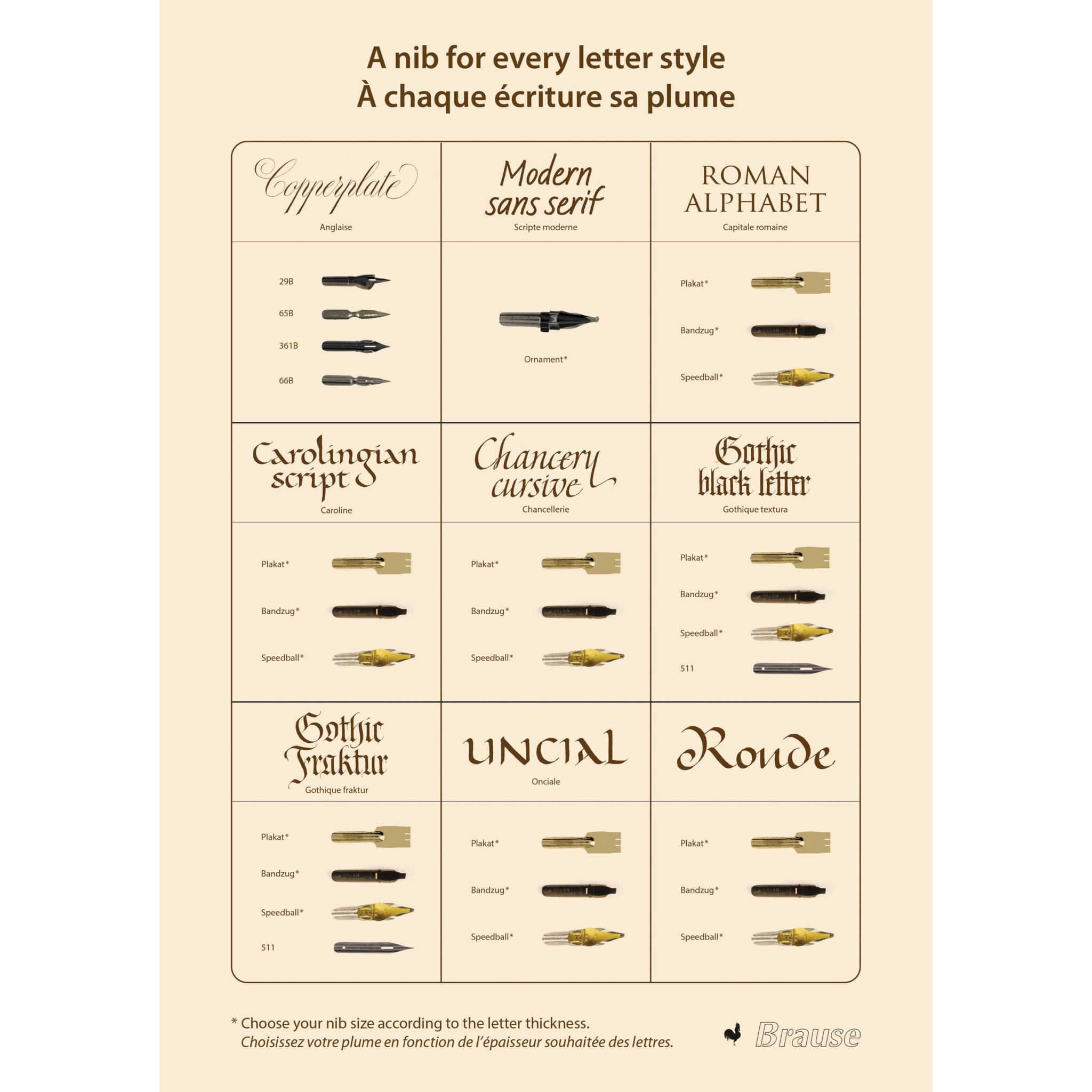 Brause Infoblatt Federn - Creme 4B