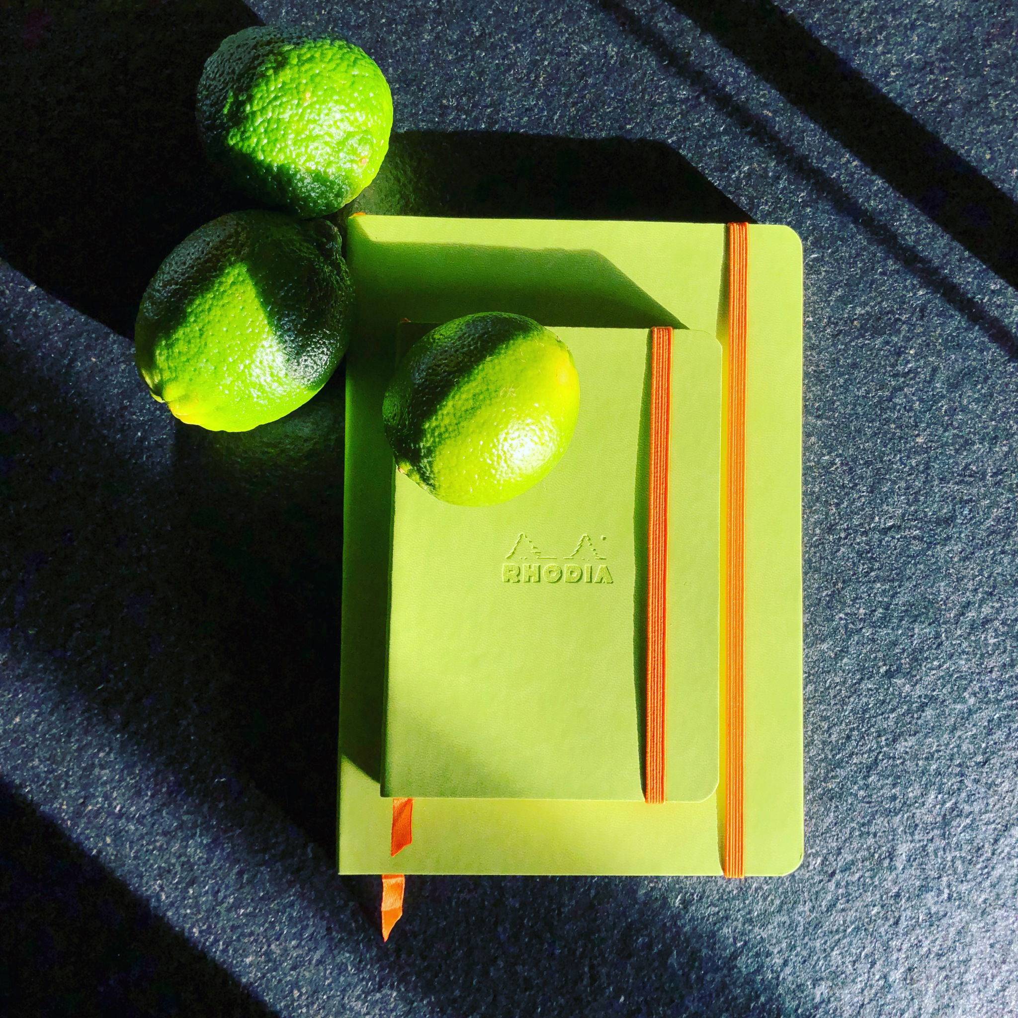 Rhodia Notizbuch A5 Softcover, 80 Bl 90g, dot/punktkariert, Anisgrün 117456C