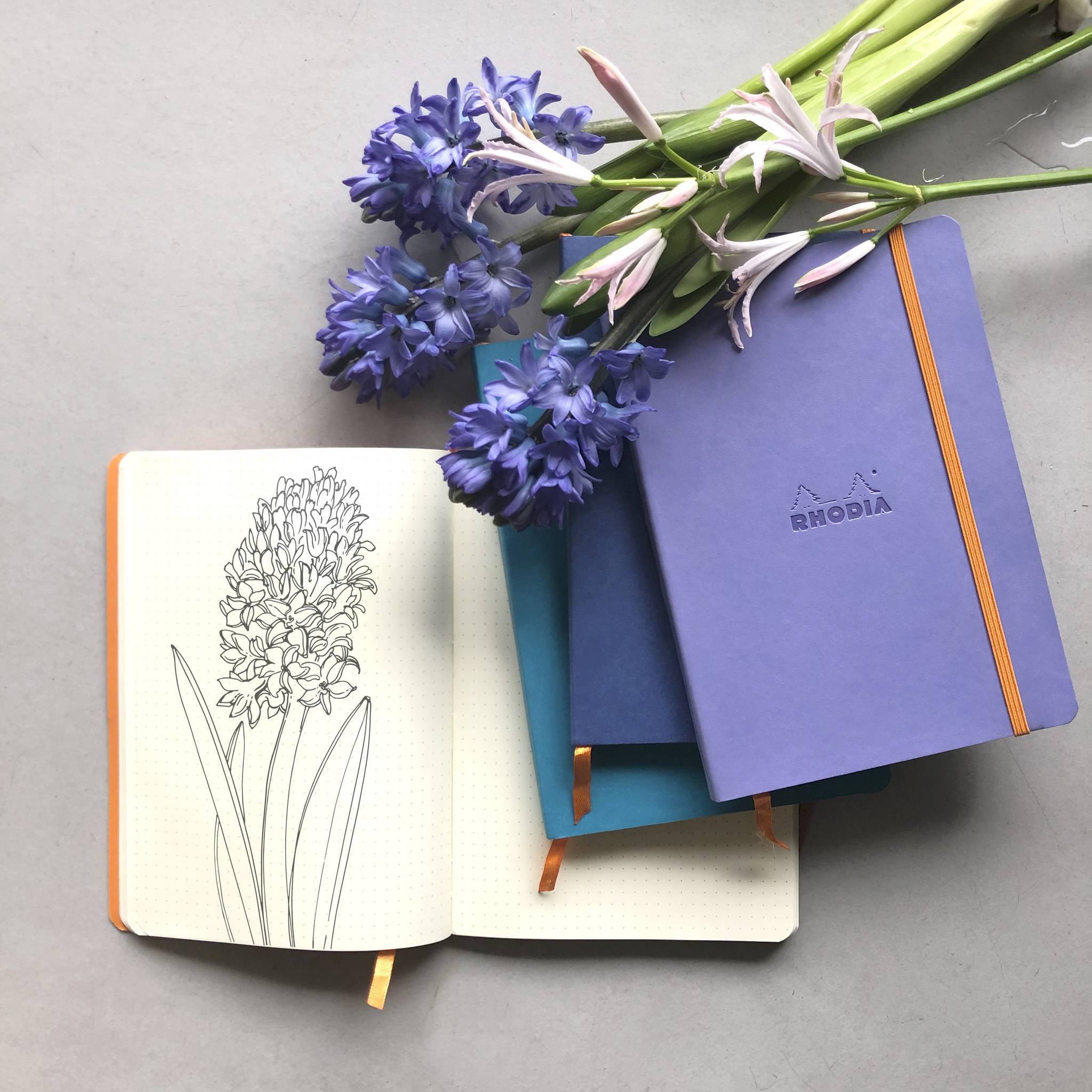 Rhodia Notizbuch A5 Softcover, 80 Bl 90g, dot/punktkariert, Schwertlilie 117459C