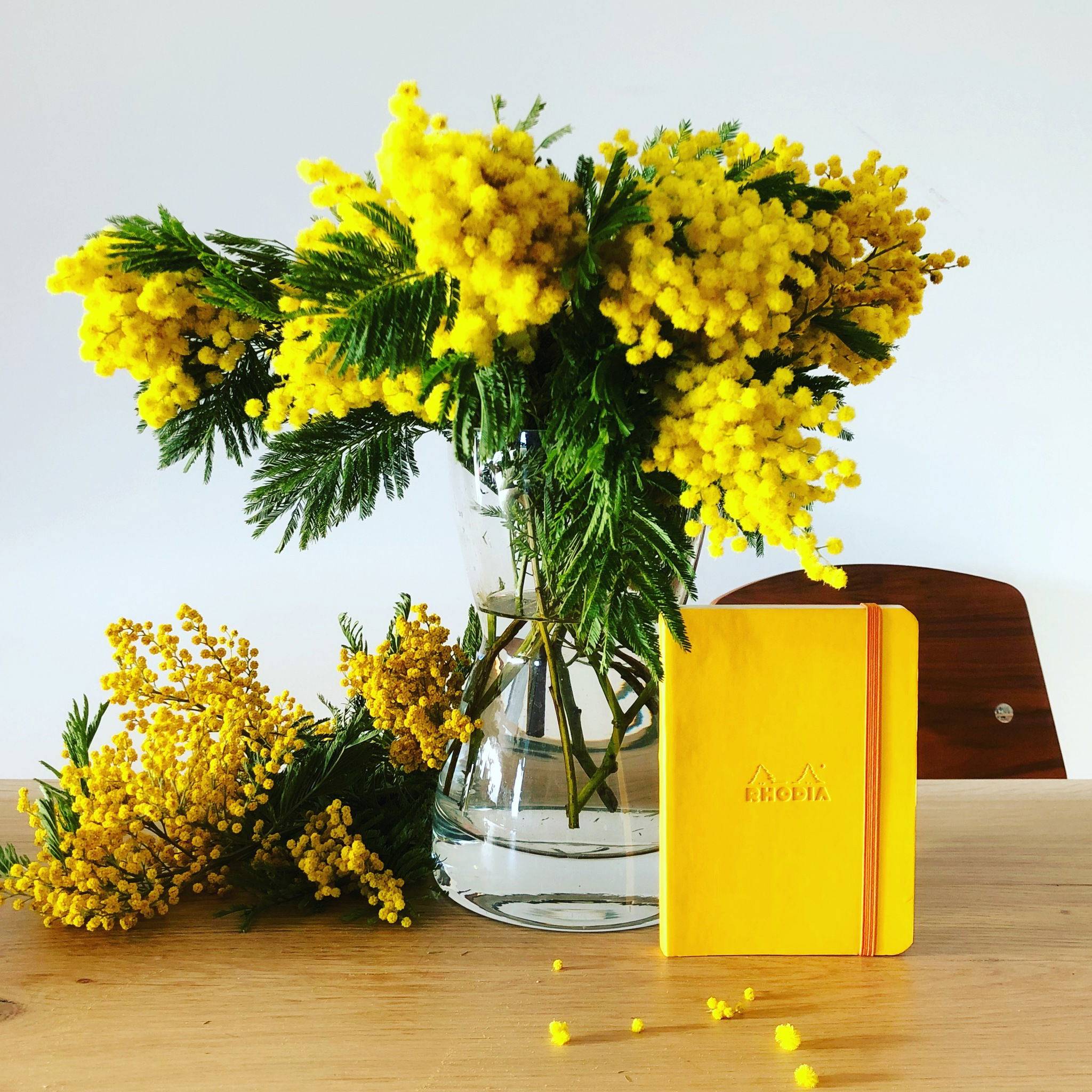 Rhodia flexibles Notizbuch A6 72 Bl liniert, Papier 90g, Narzisse 117316C