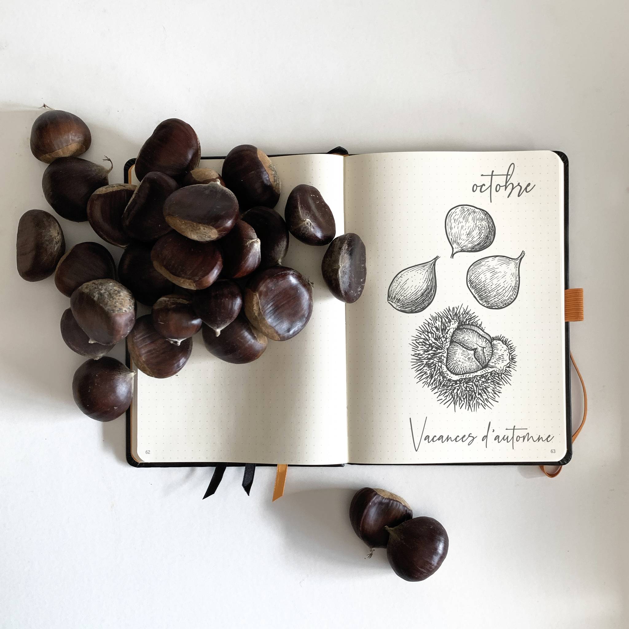 Rhodia Goalbook A5 120 Bl elfenbein 90g, Dot/punktkariert Schwarz 118772C