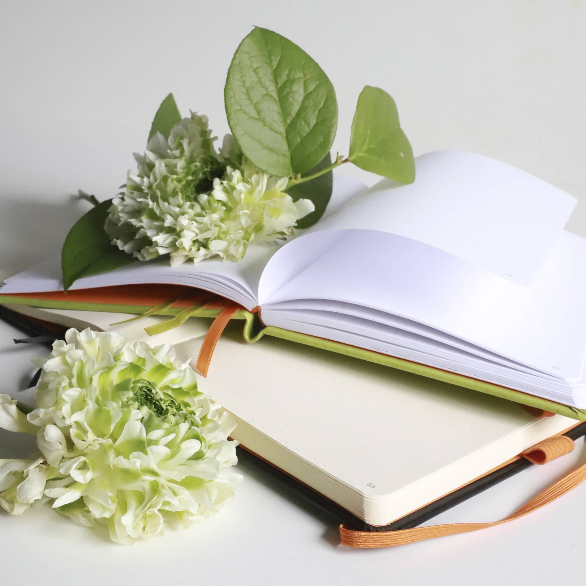 Rhodia Goalbook A5 120 Bl weiß 90g, Dot/punktkariert Anisgrün 118575C