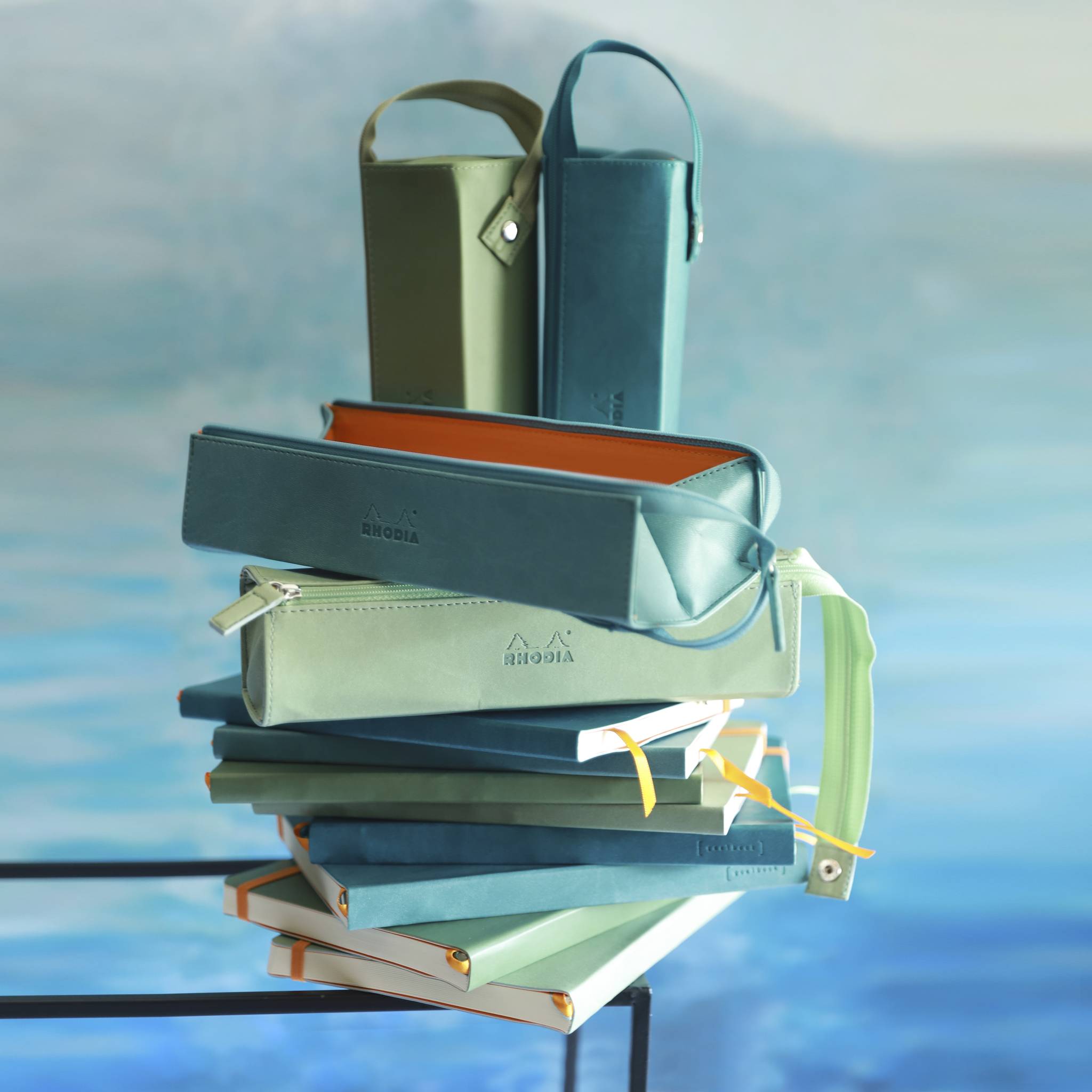 Rhodia Rhodiarama Hartschalenmäppchen, rechteckig 23x5x5 cm - Salbeigrün 319031C