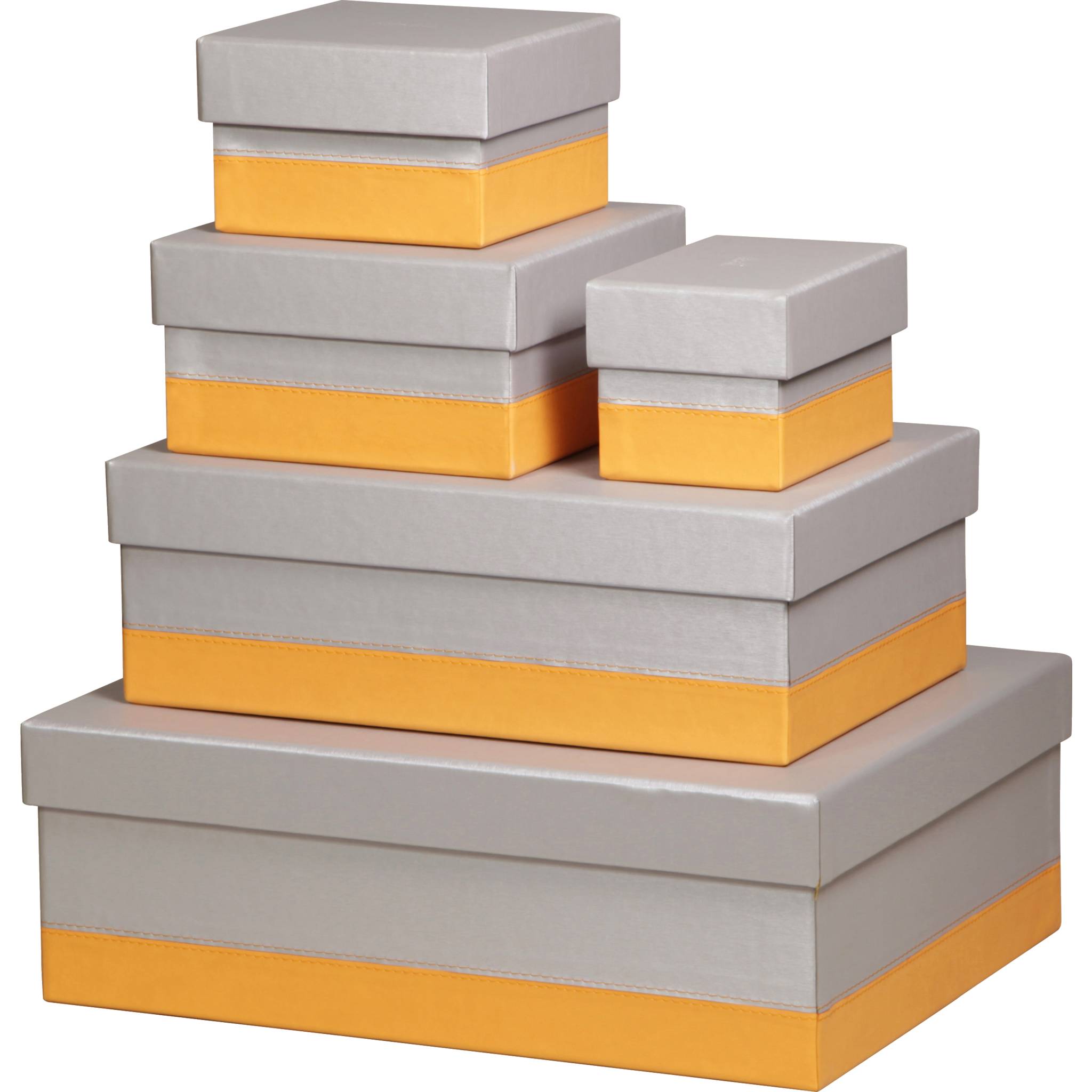 Rhodia Set mit 5 Boxen aus Kunstleder 44x34x16cm - Silber 318881C