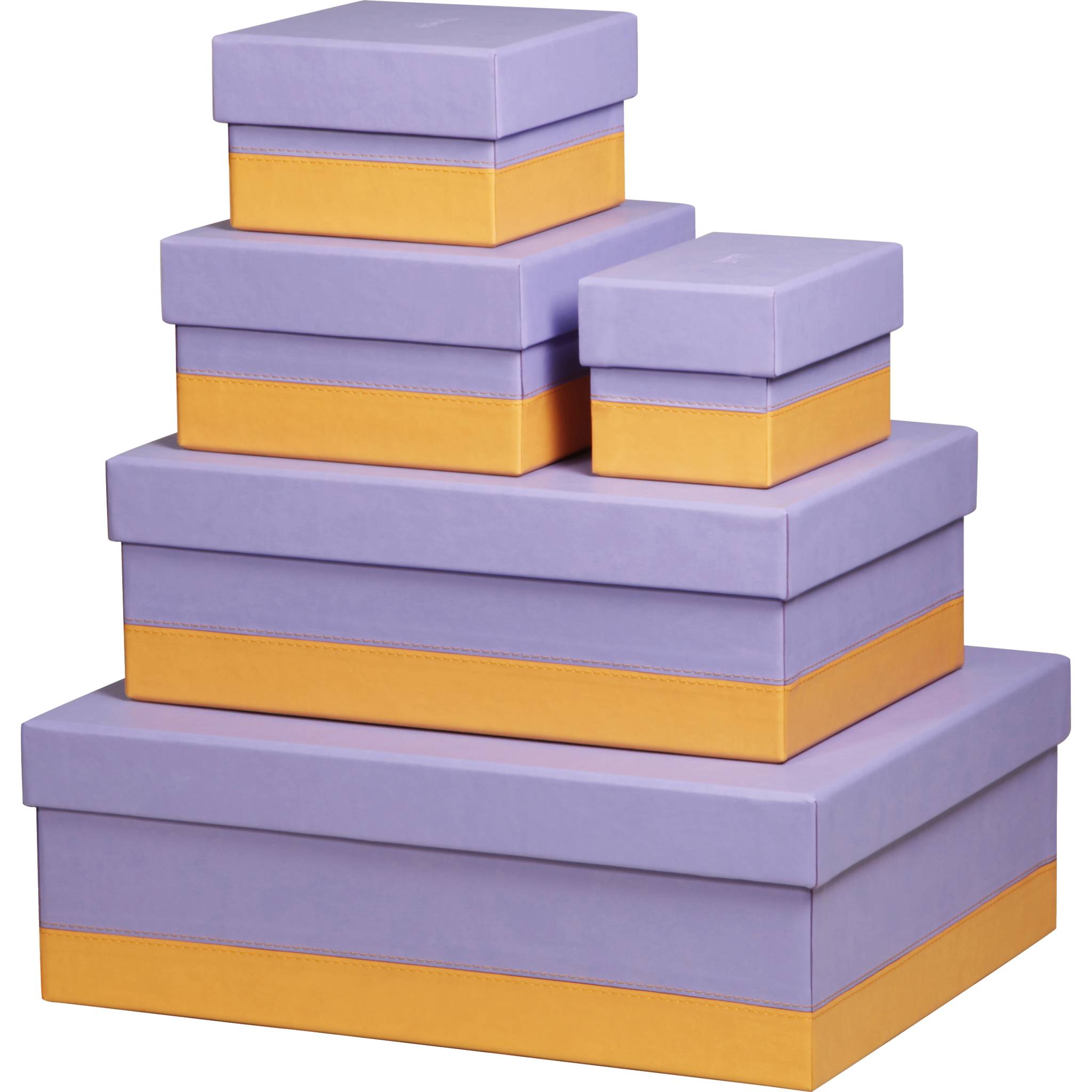 Rhodia Set mit 5 Boxen aus Kunstleder 44x34x16cm - Schwertlilie 318889C