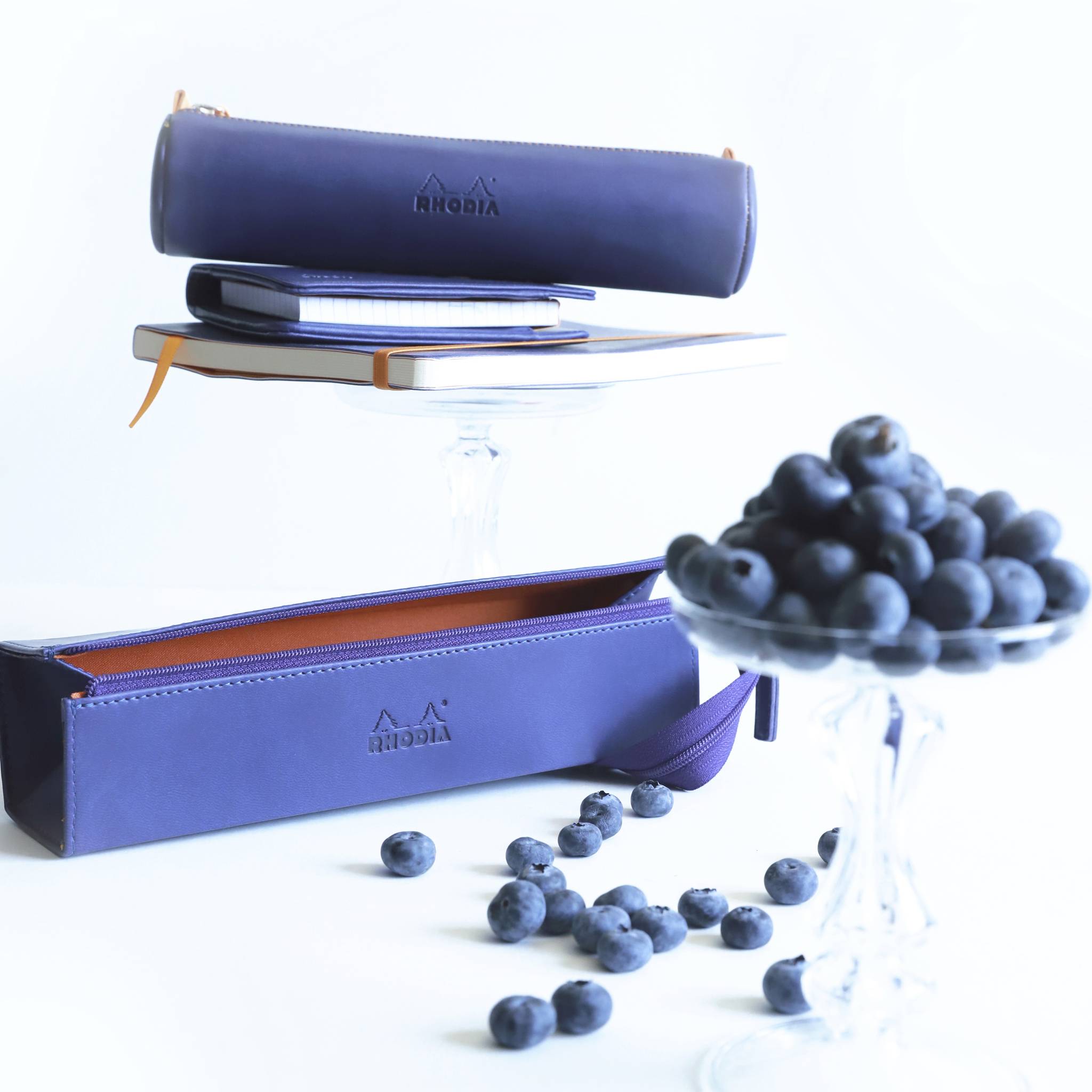 Rhodia Rhodiarama Hartschalenmäppchen, rechteckig 23x5x5 cm Schwertlilie 319019C