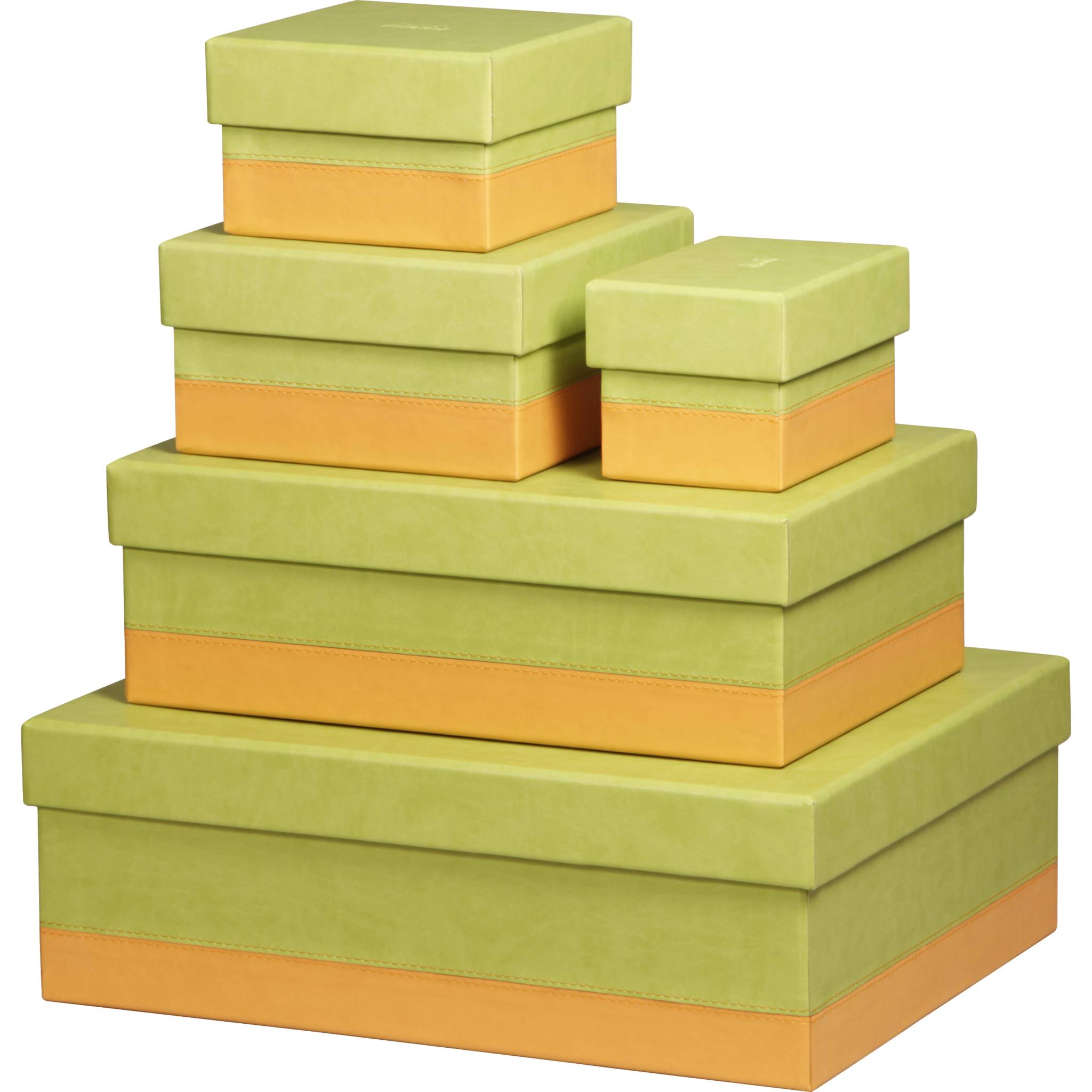 Rhodia Set mit 5 Boxen aus Kunstleder 44x34x16cm - Anisgrün 318886C