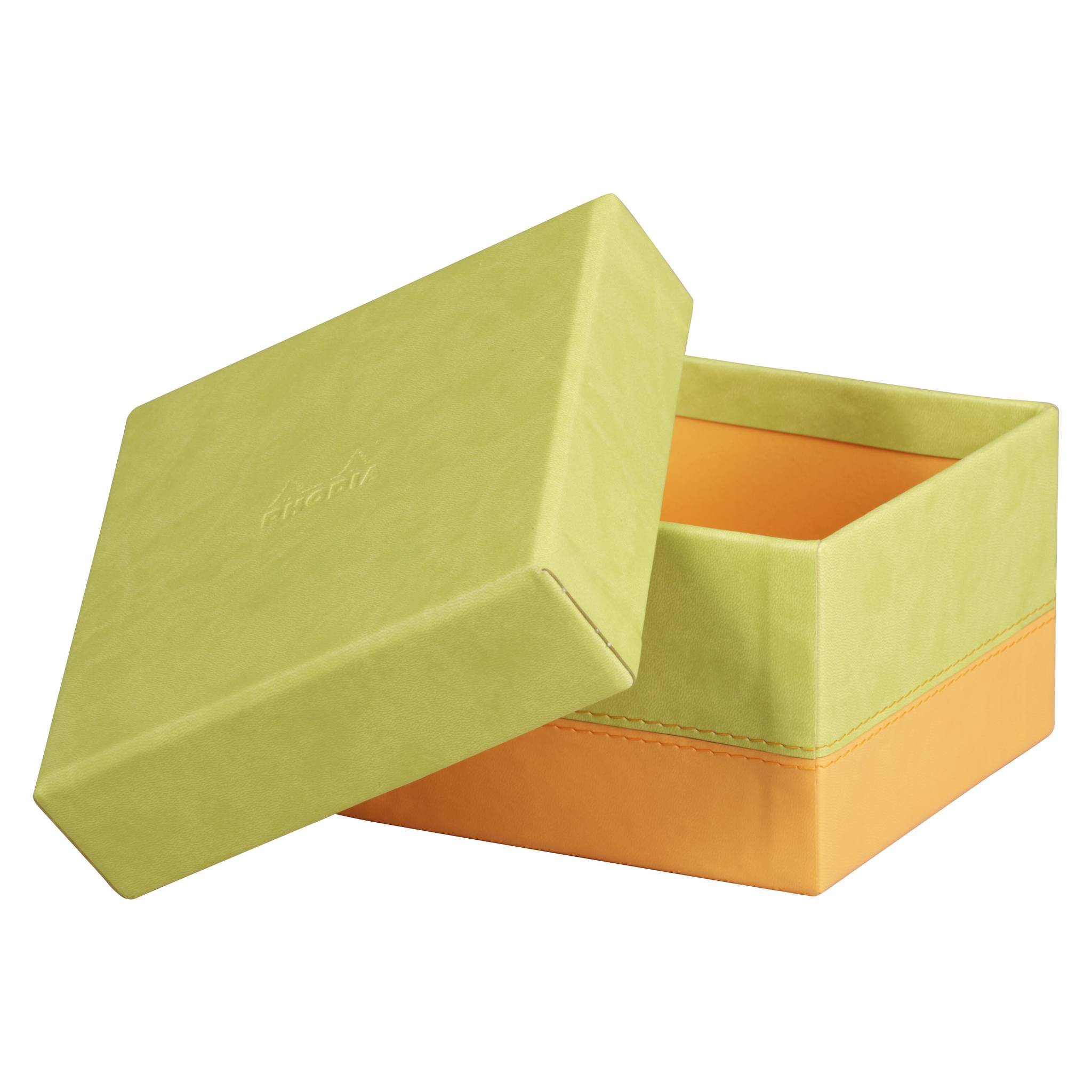 Rhodia Set mit 5 Boxen aus Kunstleder 44x34x16cm - Anisgrün 318886C