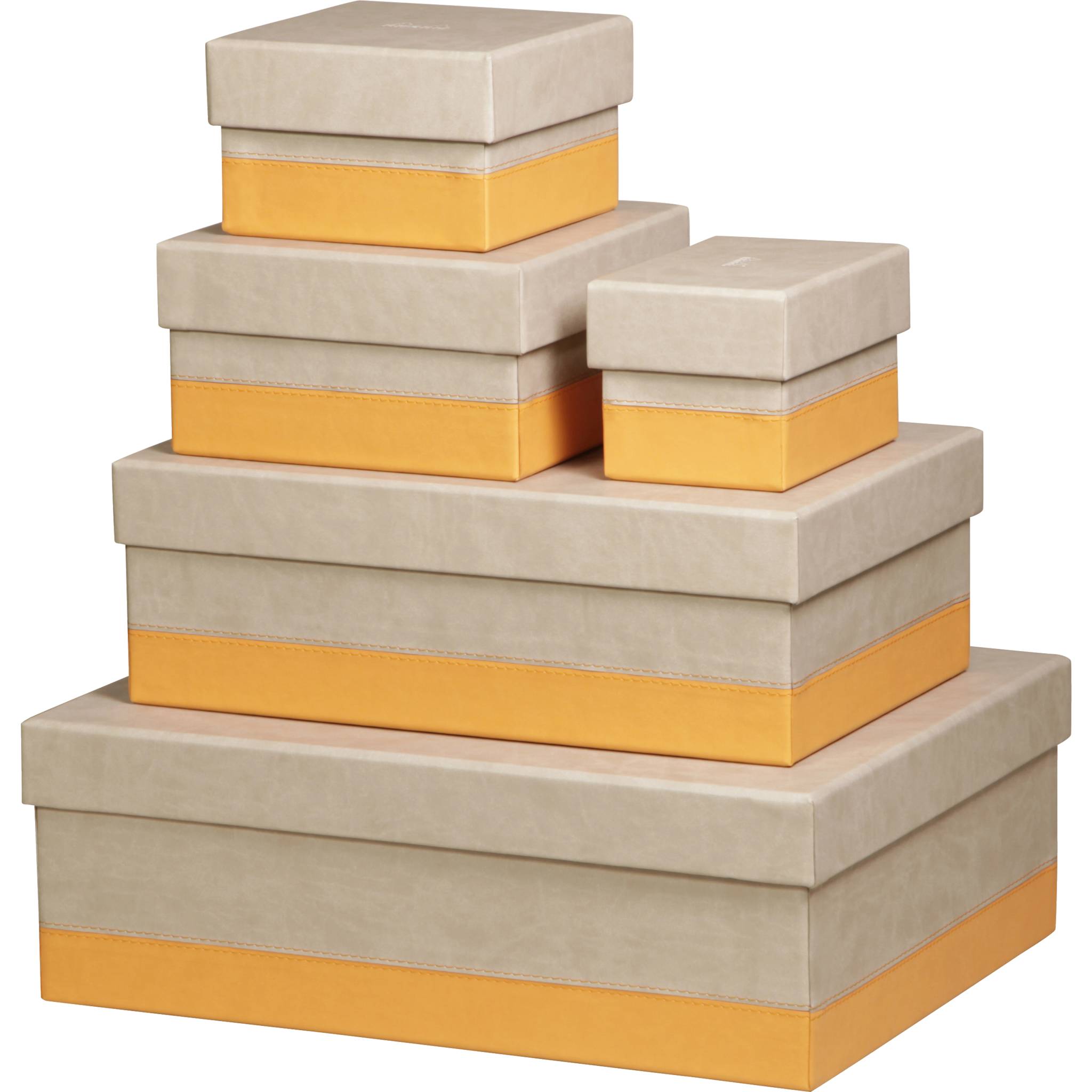 Rhodia Set mit 5 Boxen aus Kunstleder 44x34x16cm - Beige 318885C