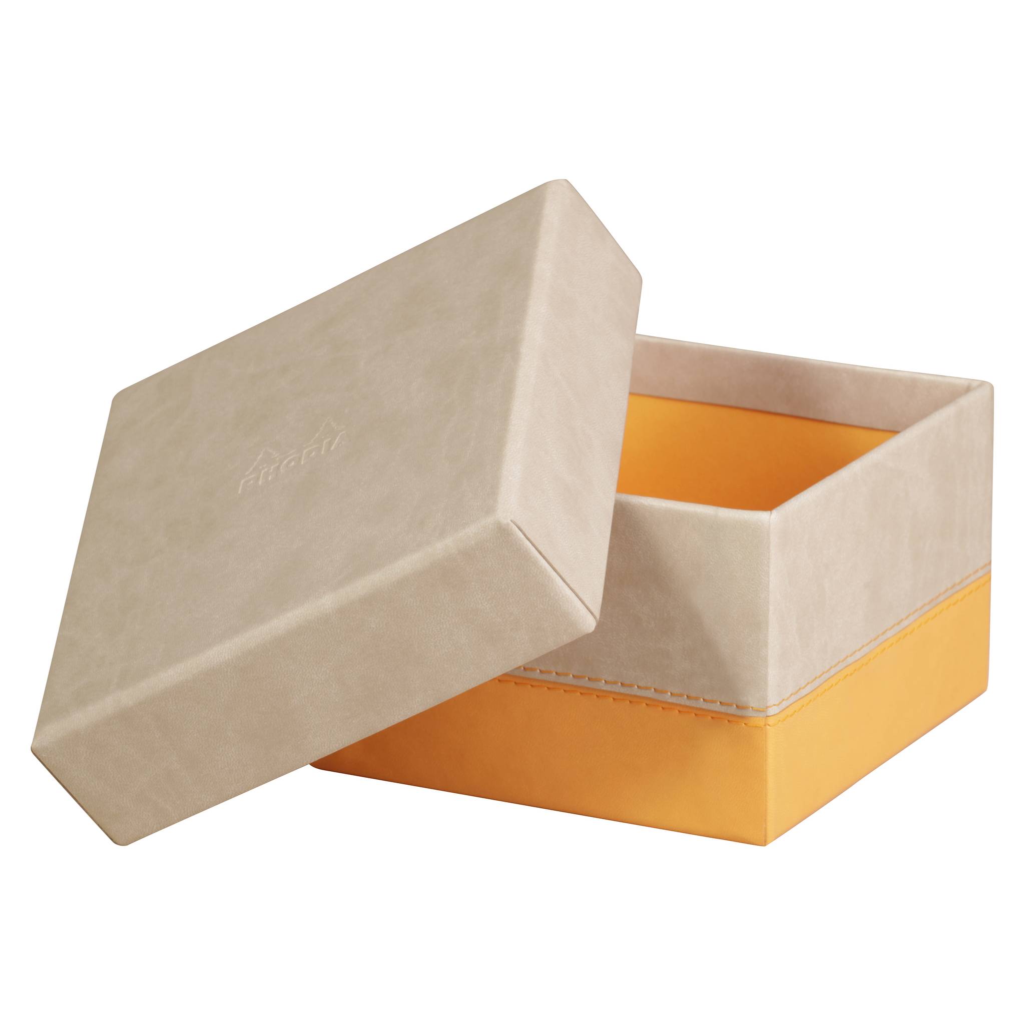 Rhodia Set mit 5 Boxen aus Kunstleder 44x34x16cm - Beige 318885C