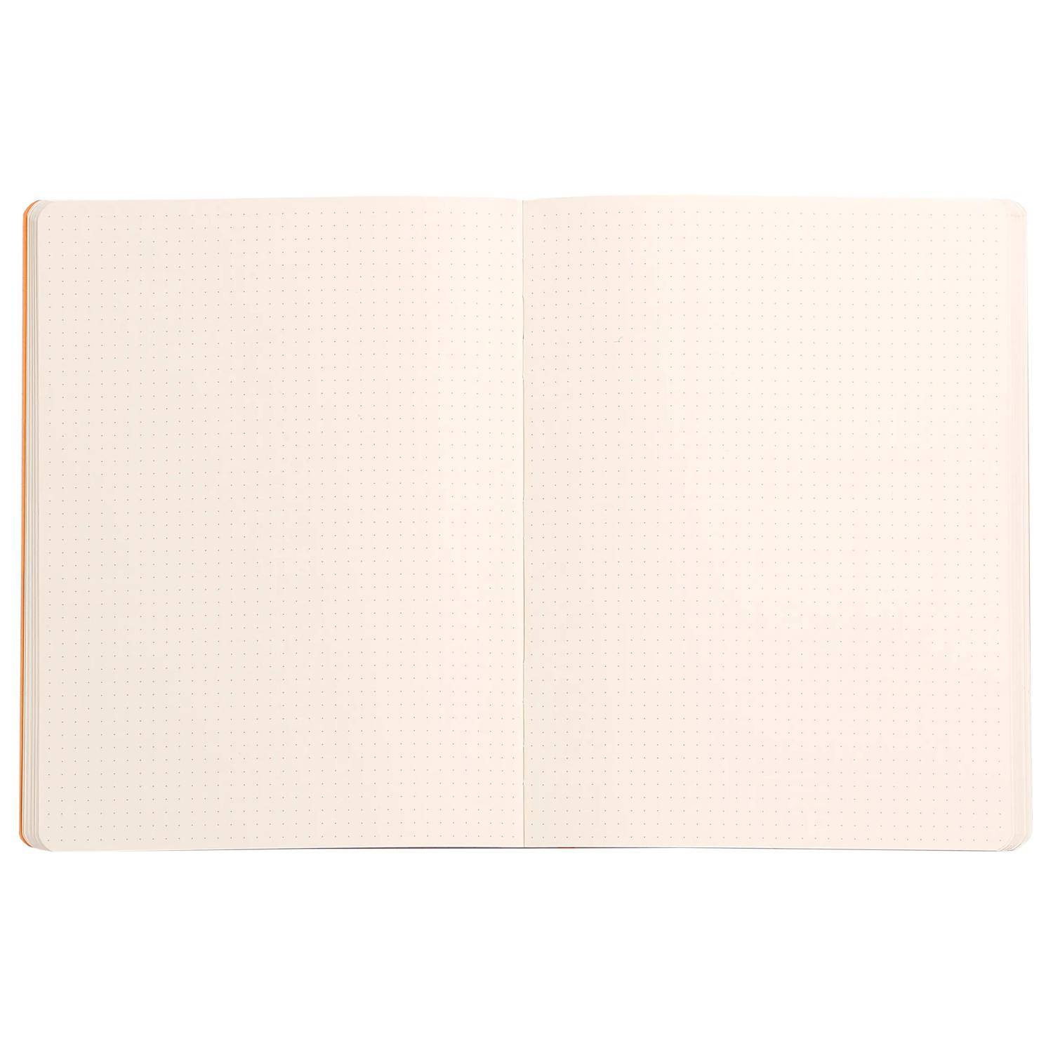 Rhodia Notizbuch 19x25cm, 80 Bl dot/kariert, Papier 90g, Silber 117551C