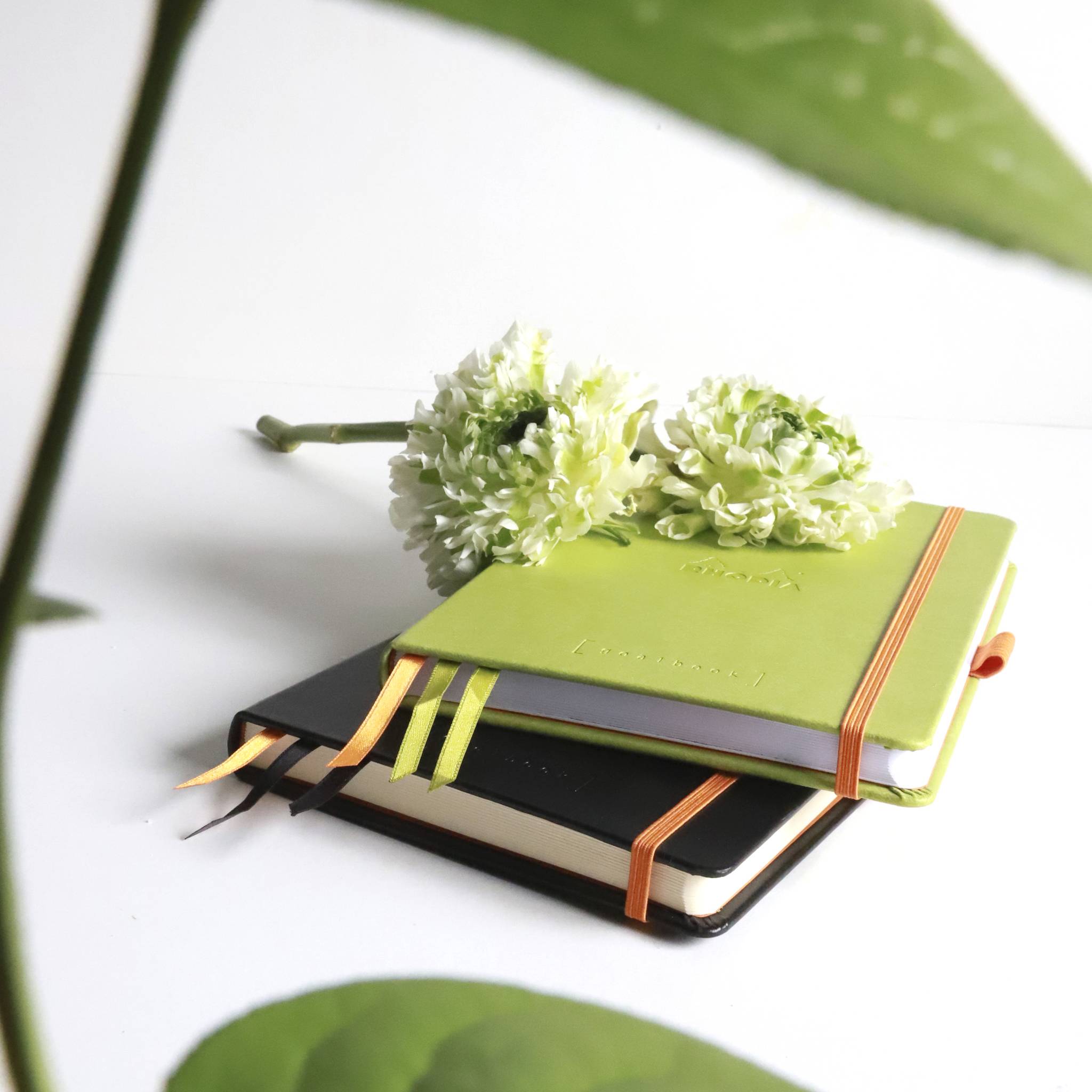 Rhodia Goalbook A5 120 Bl weiß 90g, Dot/punktkariert Anisgrün 118575C