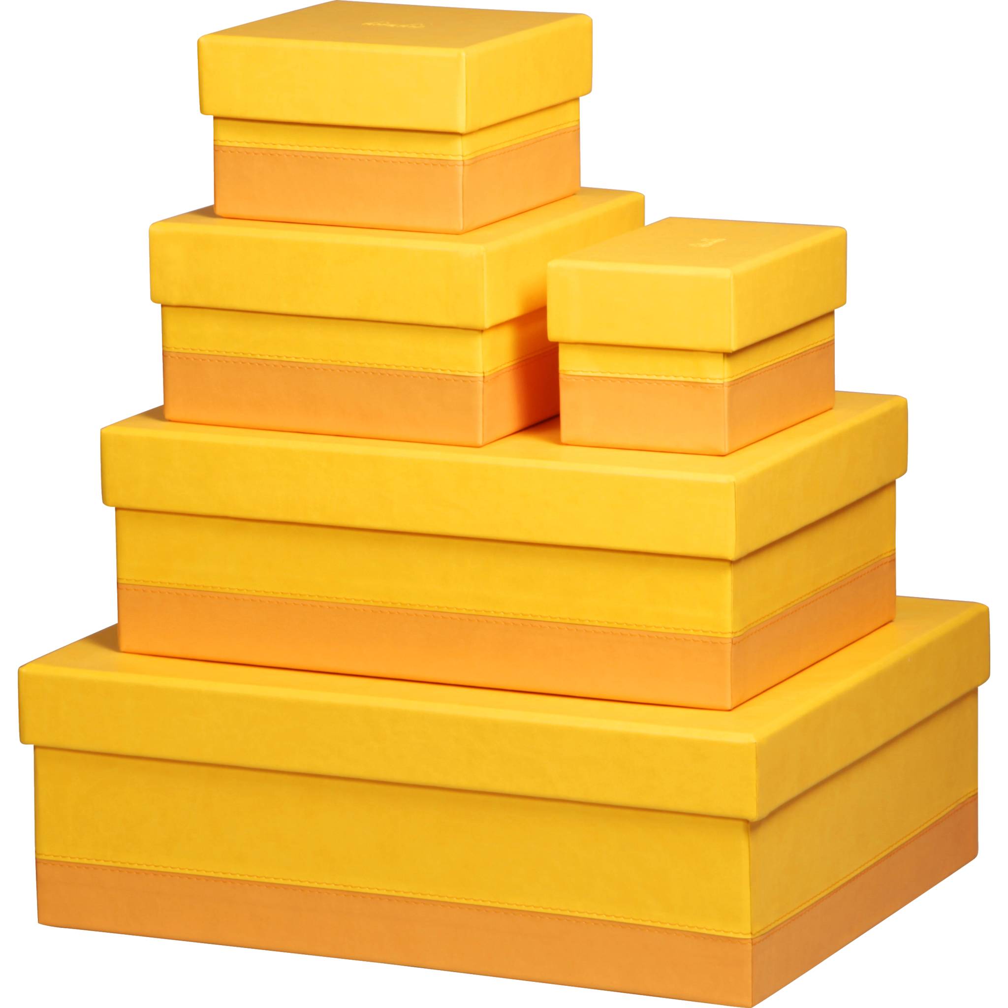 Rhodia Set mit 5 Boxen aus Kunstleder 44x34x16cm - Narzisse 318986C