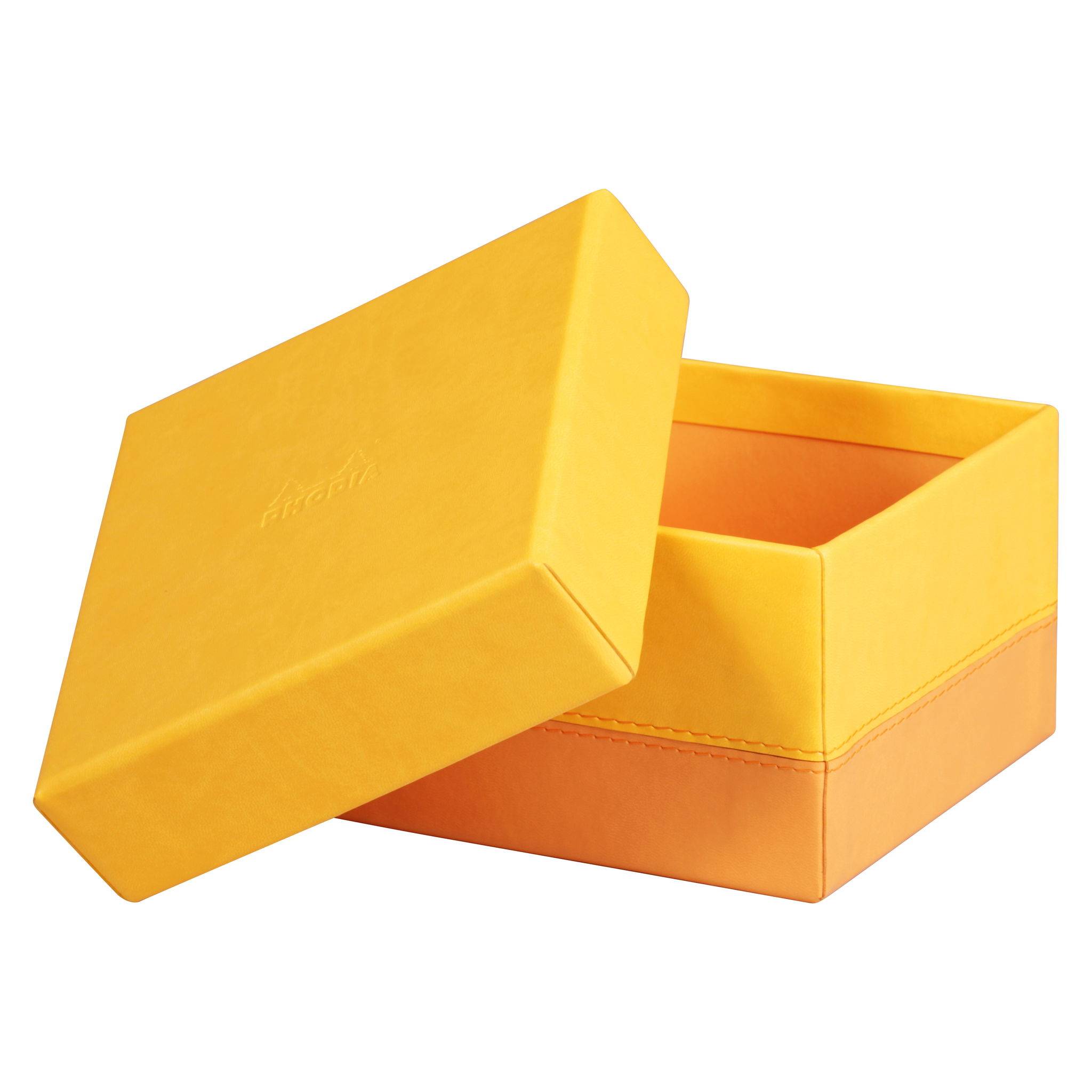 Rhodia Set mit 5 Boxen aus Kunstleder 44x34x16cm - Narzisse 318986C