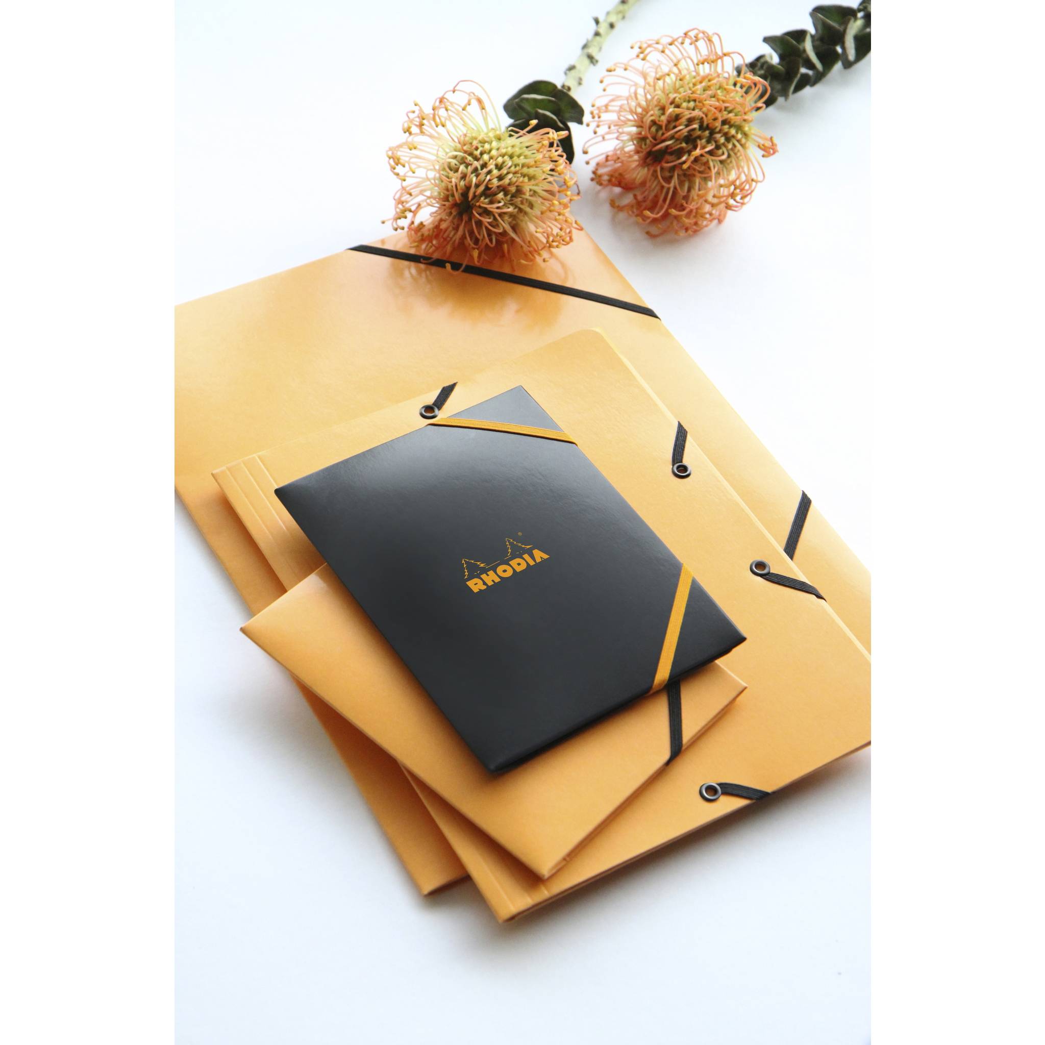 Rhodia 5x Sammelmappe Karton, Gummizug und 3 Klappen, 19x24cm Orange 19248C