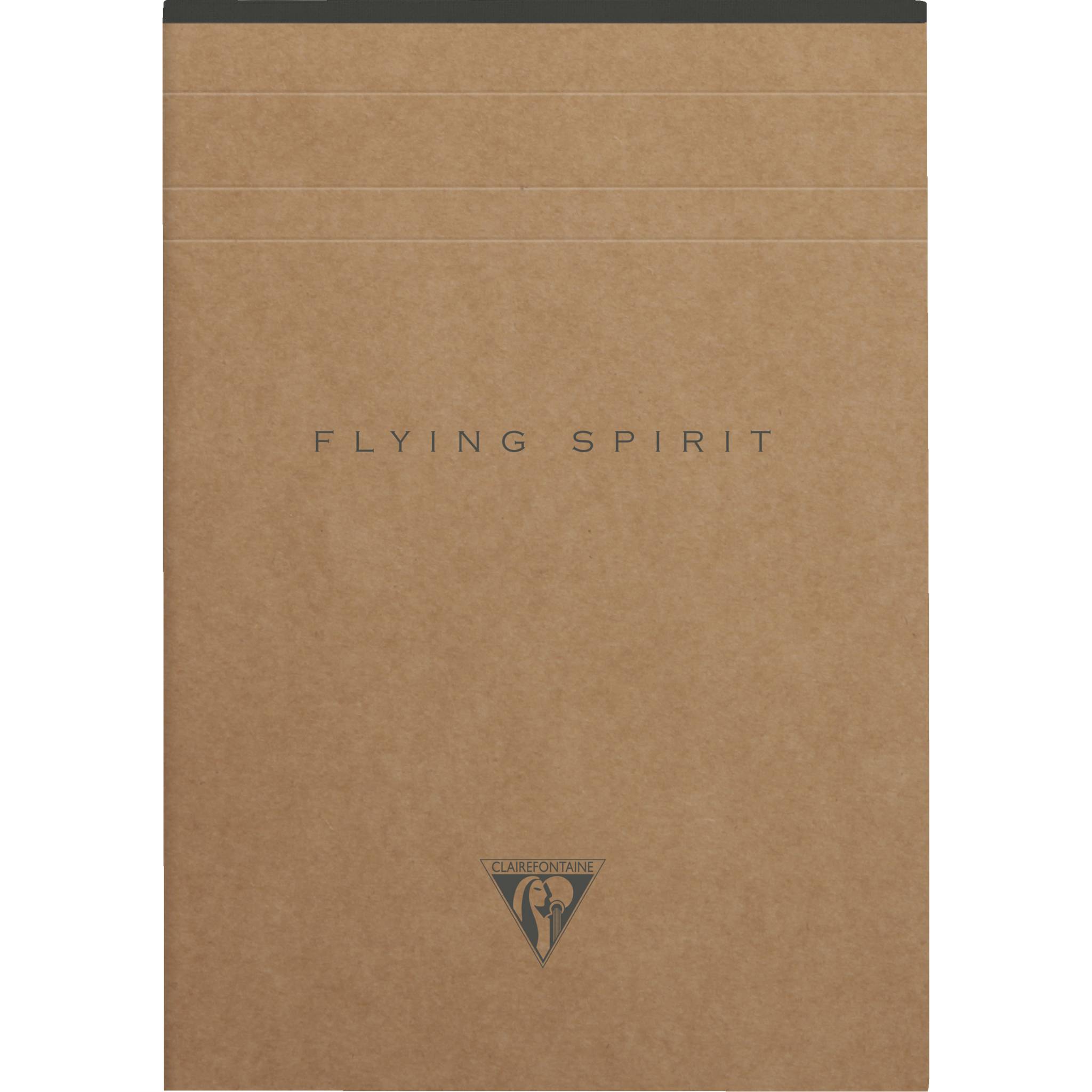 Clairefontaine 5x Block A5 70 Blatt liniert, Motive sortiert - Braun 103636C